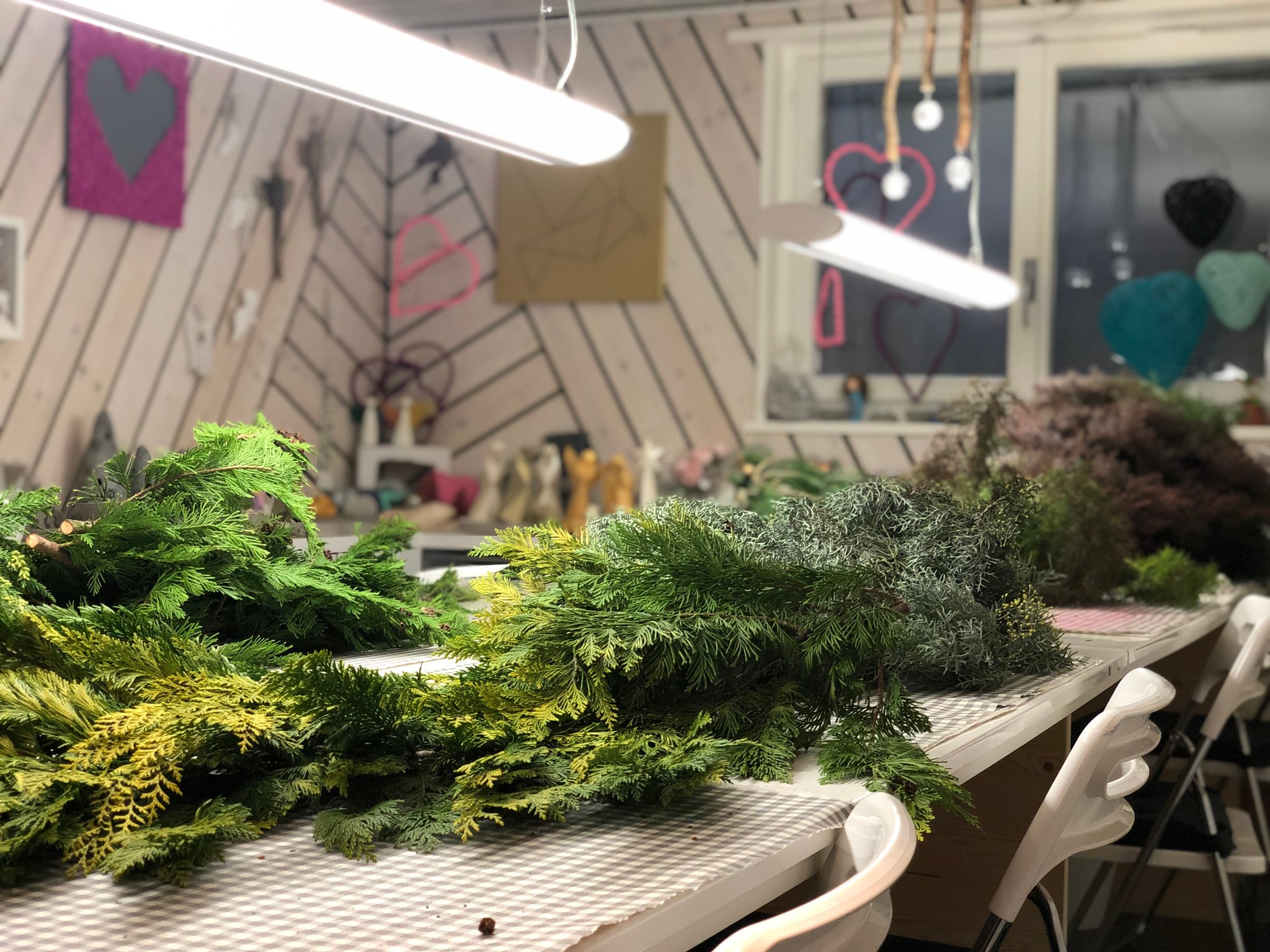 Äste und Zweige von Tannenbaum.ch