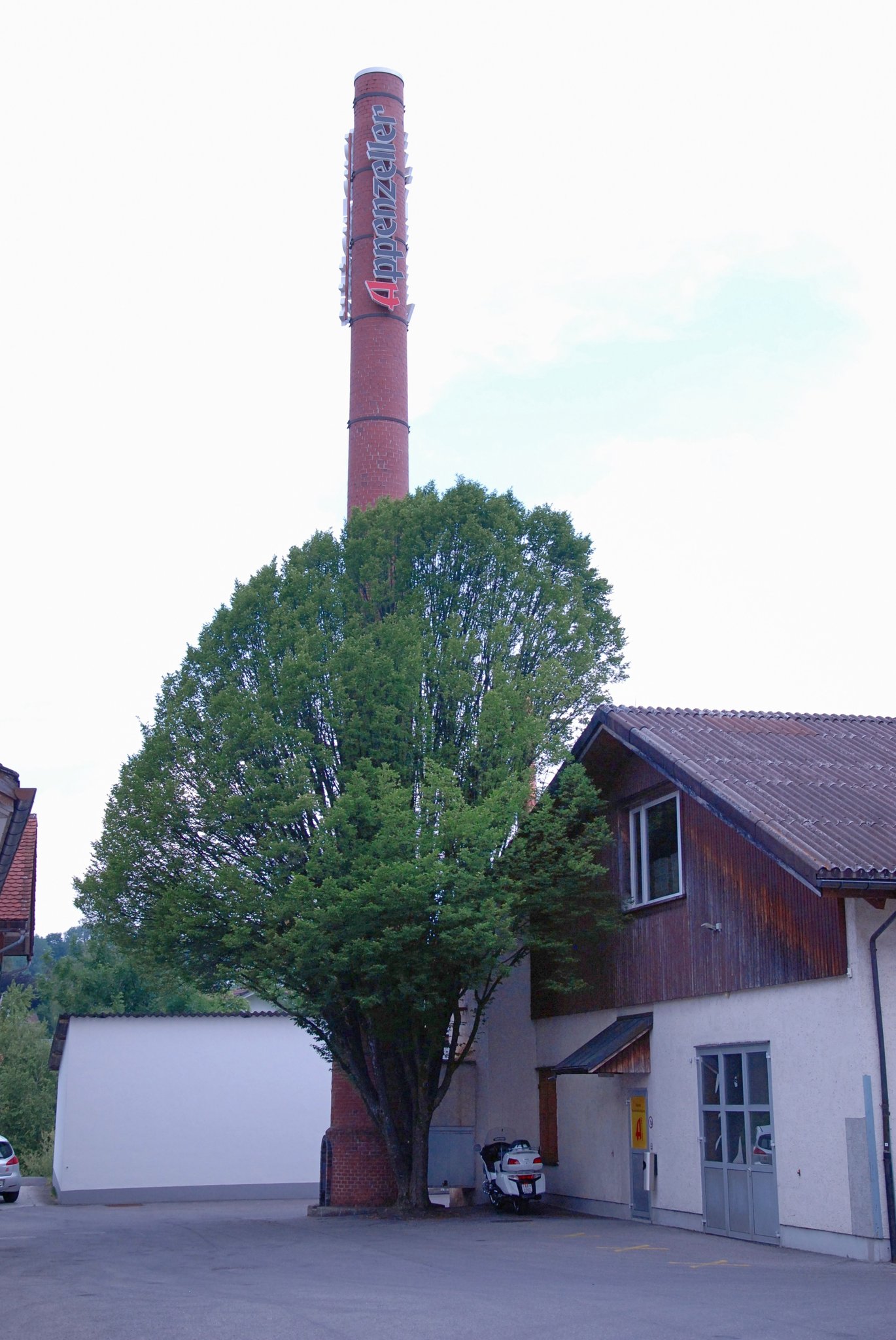 Appenzeller Alpenbitter