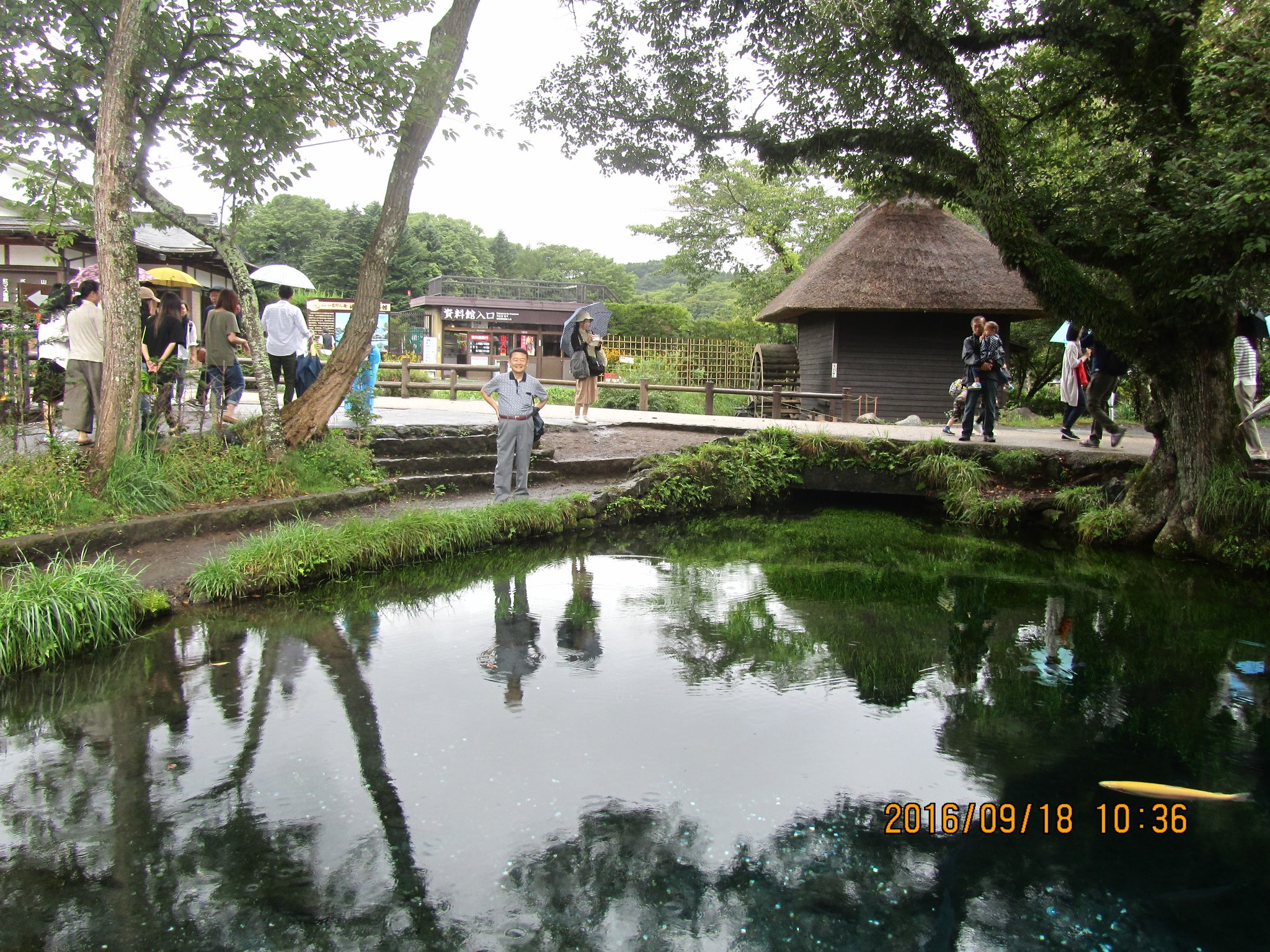 湧池（わくいけ）。忍野八海を代表する池です。昔、富士山が噴火した際、人々はすべてを焼き尽くす熱に襲われました。喉の渇きや火事を消すために人々が水を求めて叫びました。