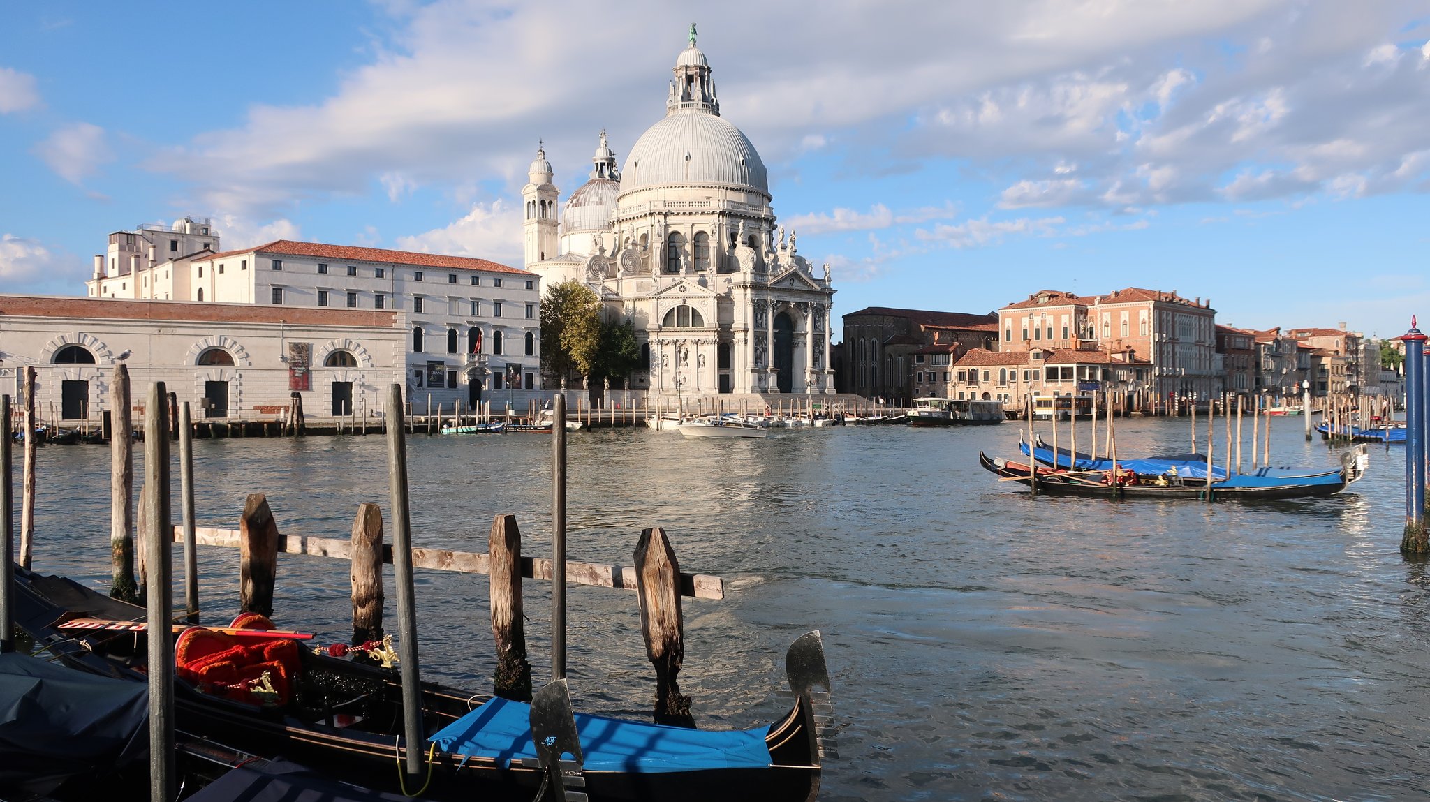 The Santa Maria della Salute Church gleaming in the morning sun