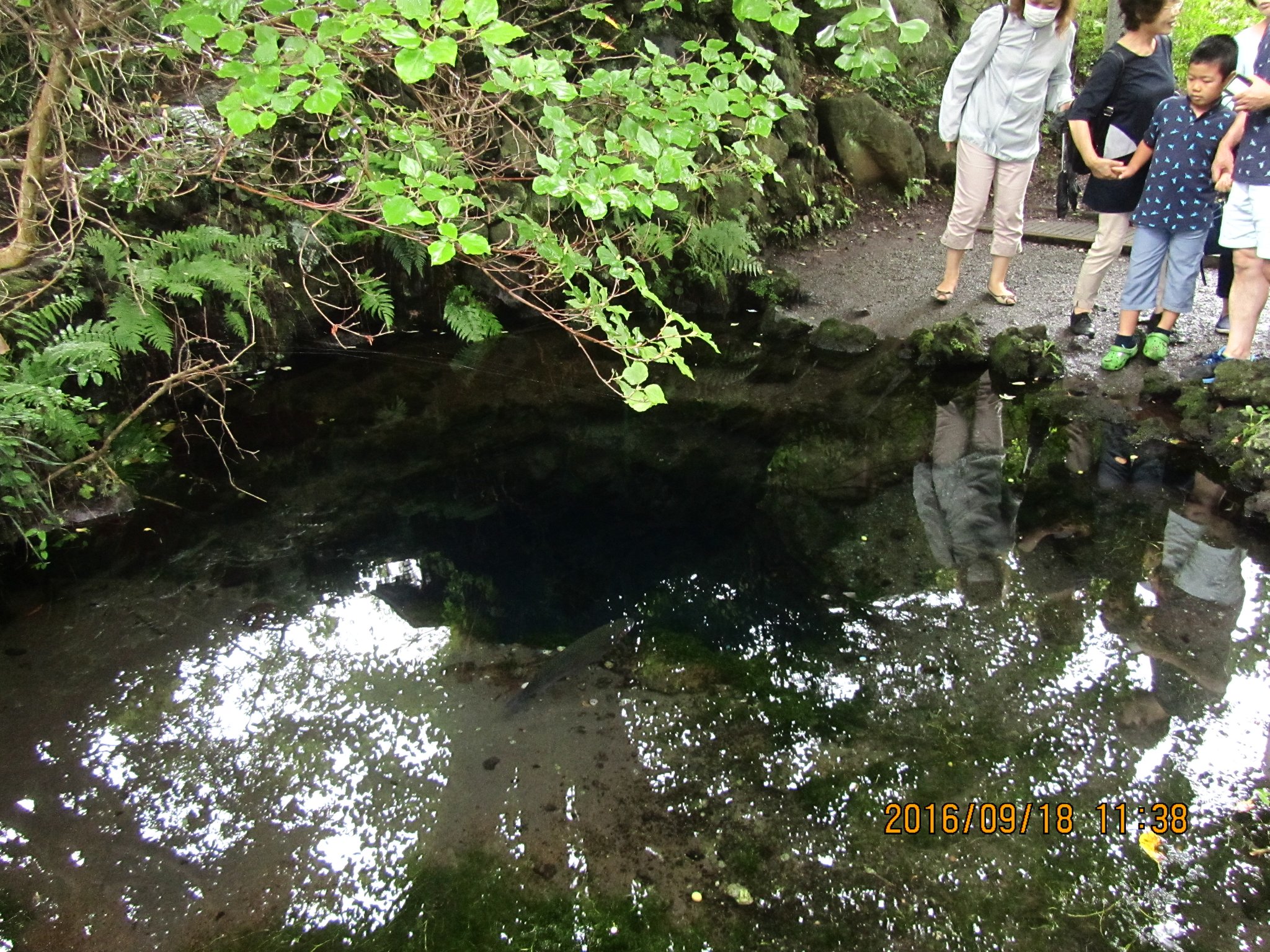 お釜池（おかまいけ）。昔、この池のほとりに年老いた父と二人の娘が暮らしていました。娘達が洗濯していると、大きなガマガエルが現れ、妹を水中に引きずり込んでしまったそうです。そのため、オオガマ池とも呼ばれます。