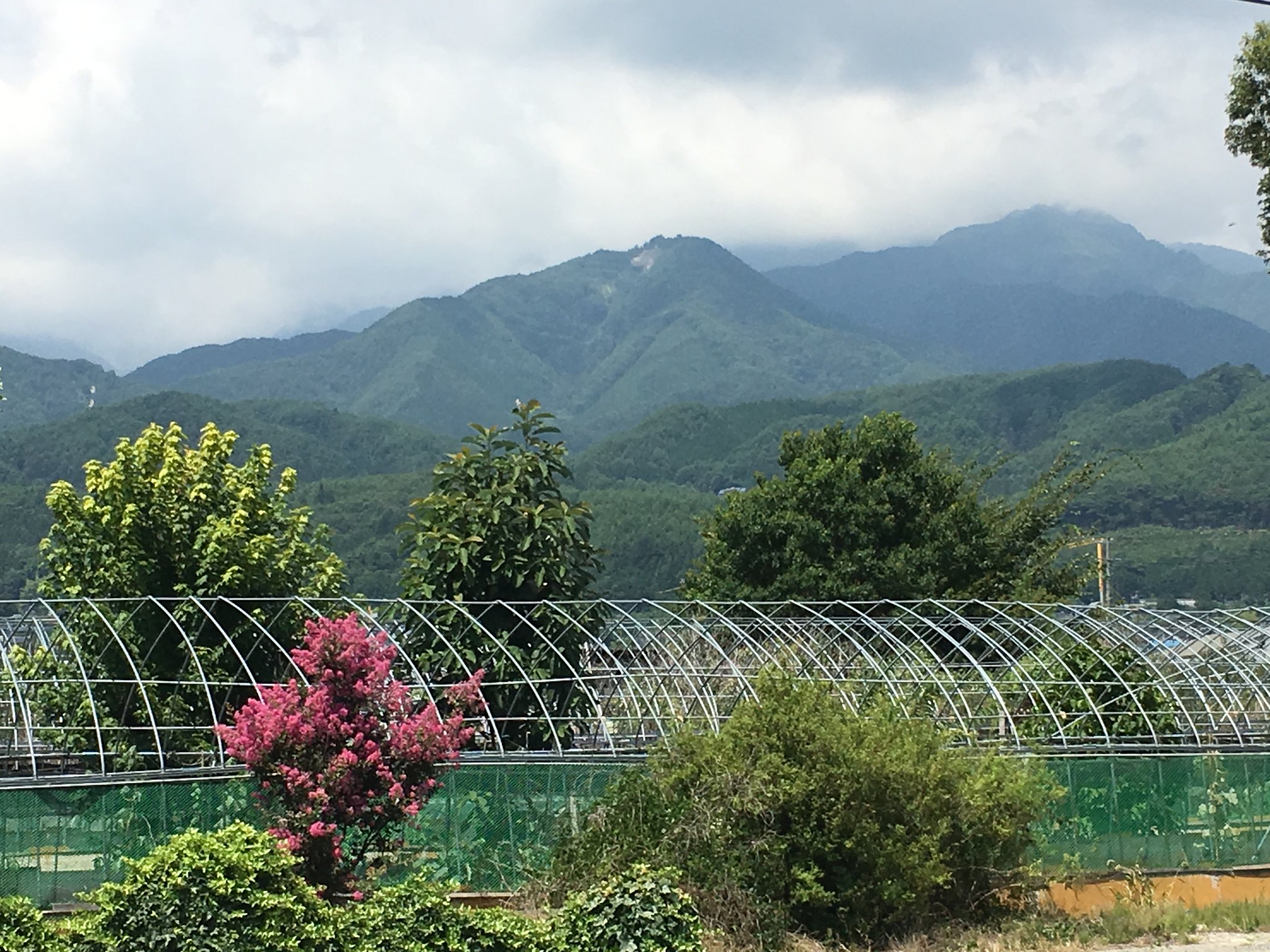 源 為基（ためもと）の孫である源 景重（かげしげ、片切（かたぎり）景重、片桐（かたぎり）小八郎（こはちろう））は「保元の乱」「平治の乱」で源 義朝（よしとも)(鎌倉幕府を興した源 頼朝(よりとも)の父）に仕えました。写真中央の部分的に禿げた山が小八郎岳です。  源 景重が山頂に避暑地としての山城を築いた事からその名が付いたそうです。