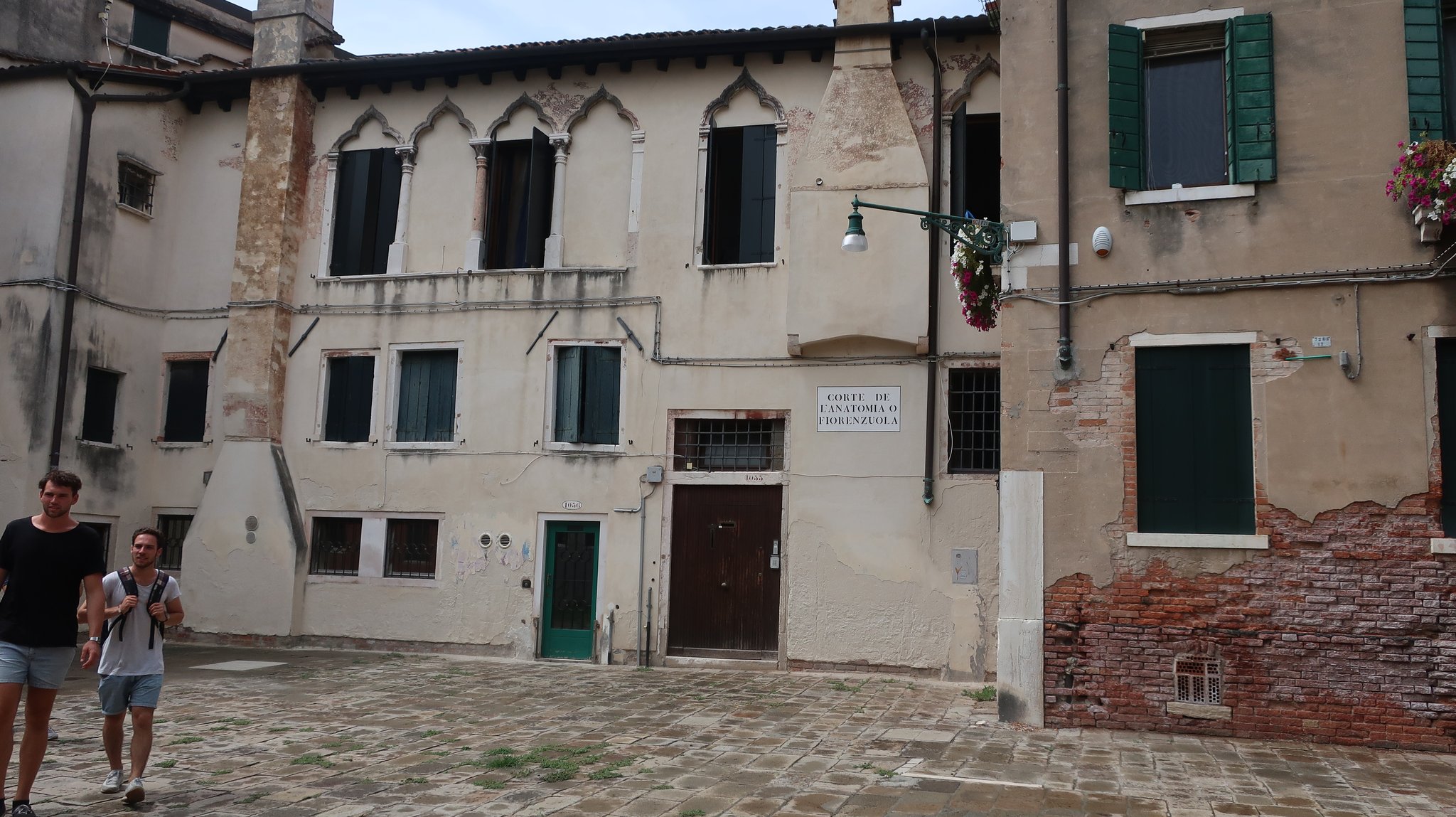 The anatomy research institute