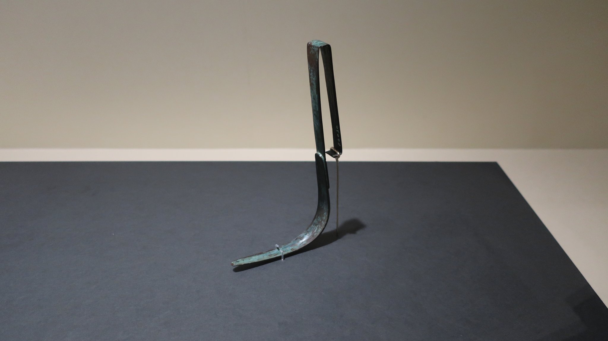 肌掻き器。日本では、「孫の手」です。こんなので背中を掻いたら痛そうです。