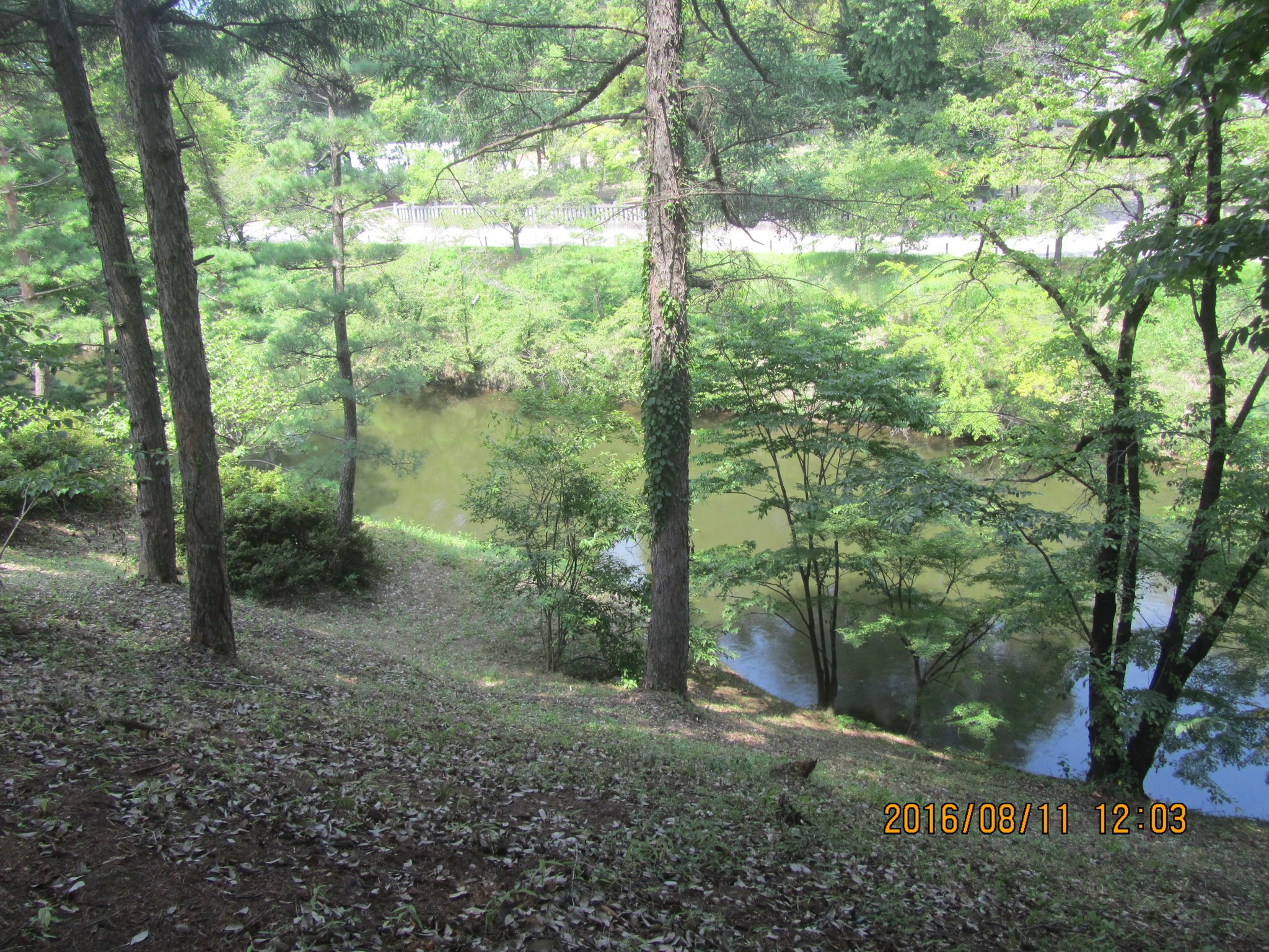 城の北側の水堀