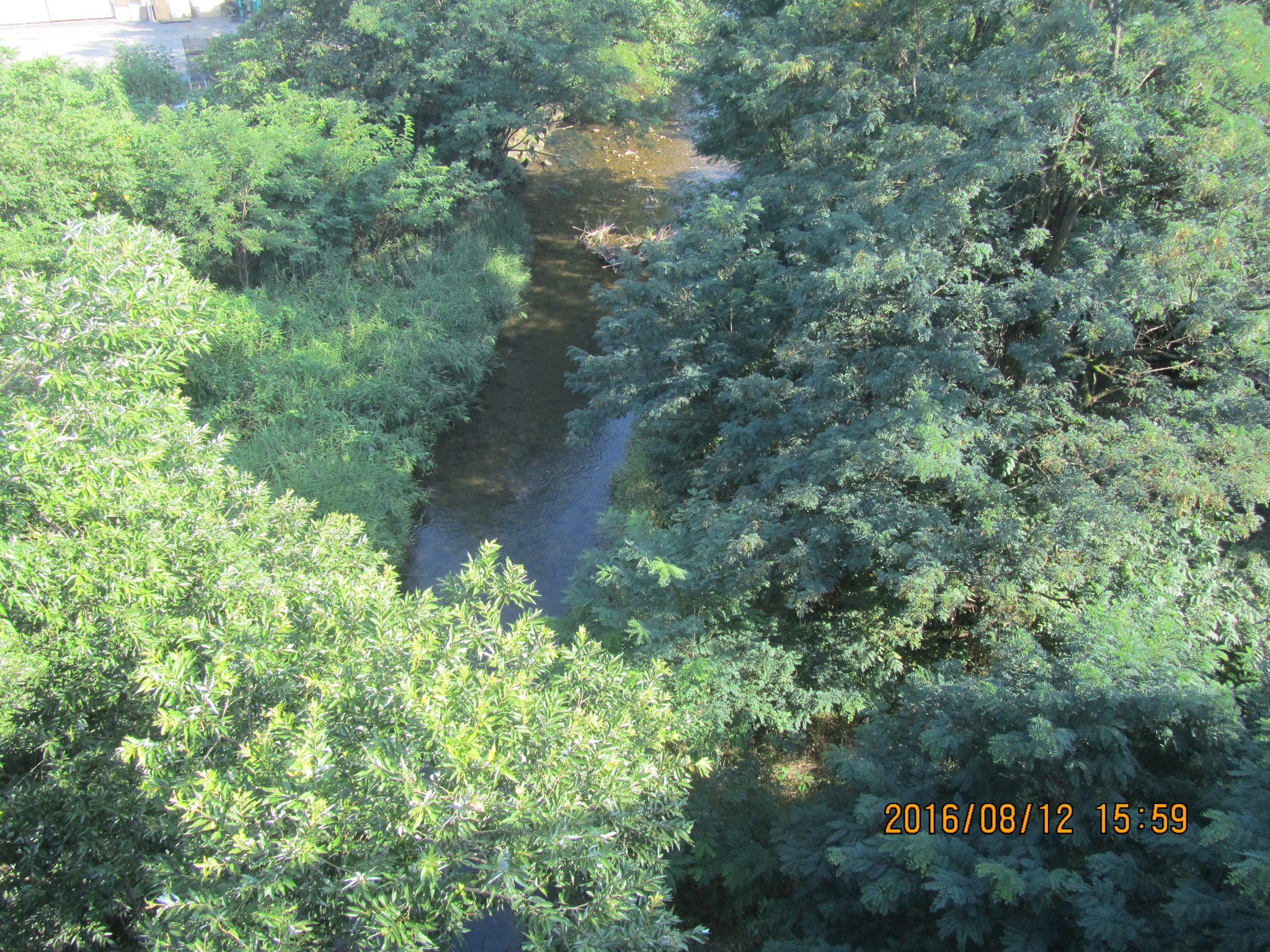 神川（かんがわ）。1585年、第一次上田合戦の際、真田信幸がこの川をせき止めました。そして、上田城から徳川軍が敗走する際に堰（せき）を壊し、川を渡る多くの兵を溺れさせたのです。