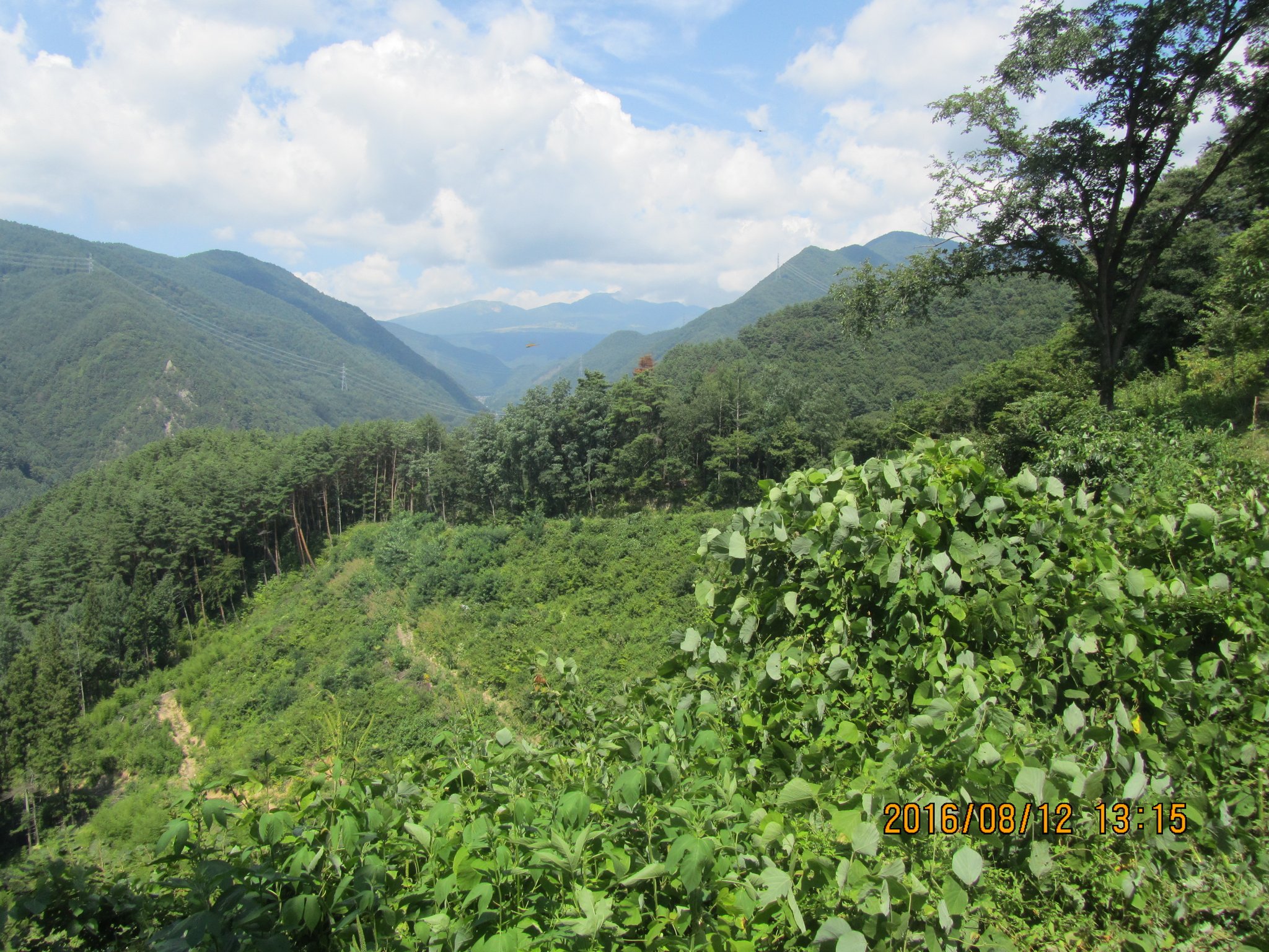 山頂から真田郷を望む。