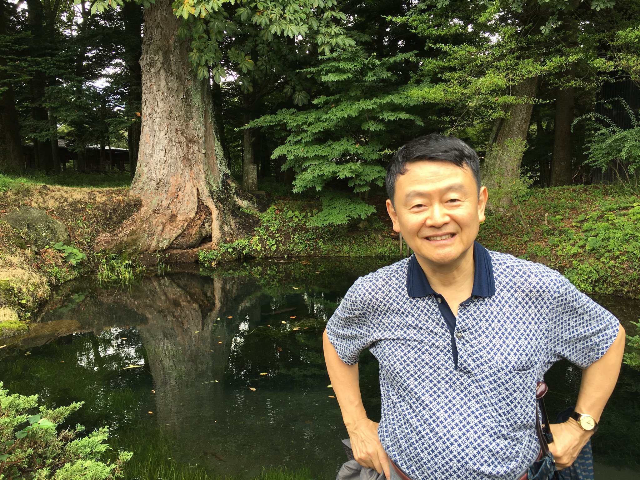 生い茂った樹木に囲まれ、神秘的です。トチの大木が水面（みなも）に映えます。八海の中で最も印象的です。