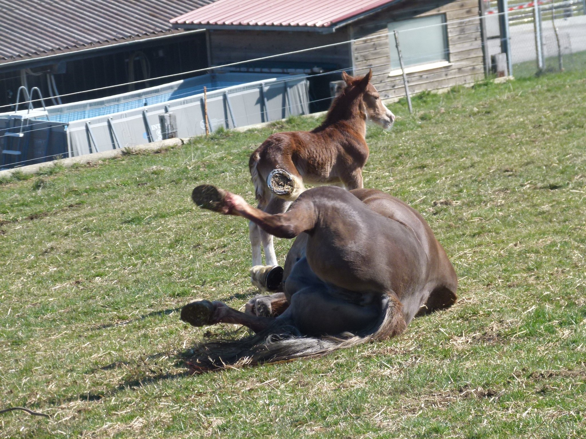 Z Läbe isch eifach schön (Loa mit Dano)