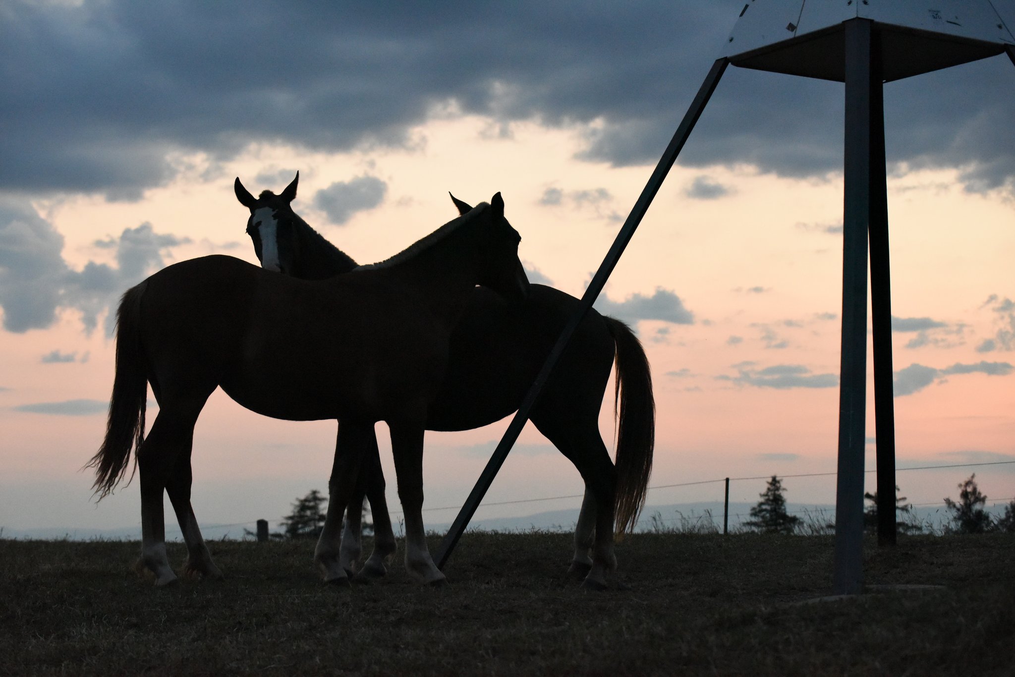Eifach nume schön (merci Claudia Berger für dini tolle Föteli)