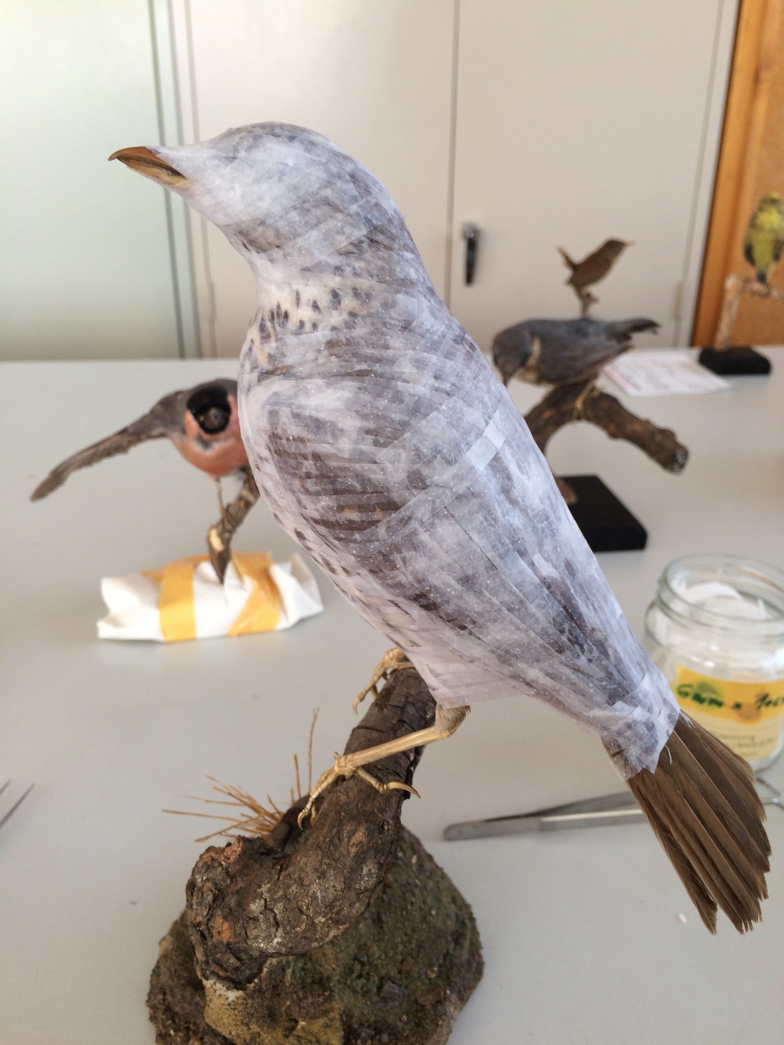 Nassbandage zwecks Reinigung und Formkorrektur