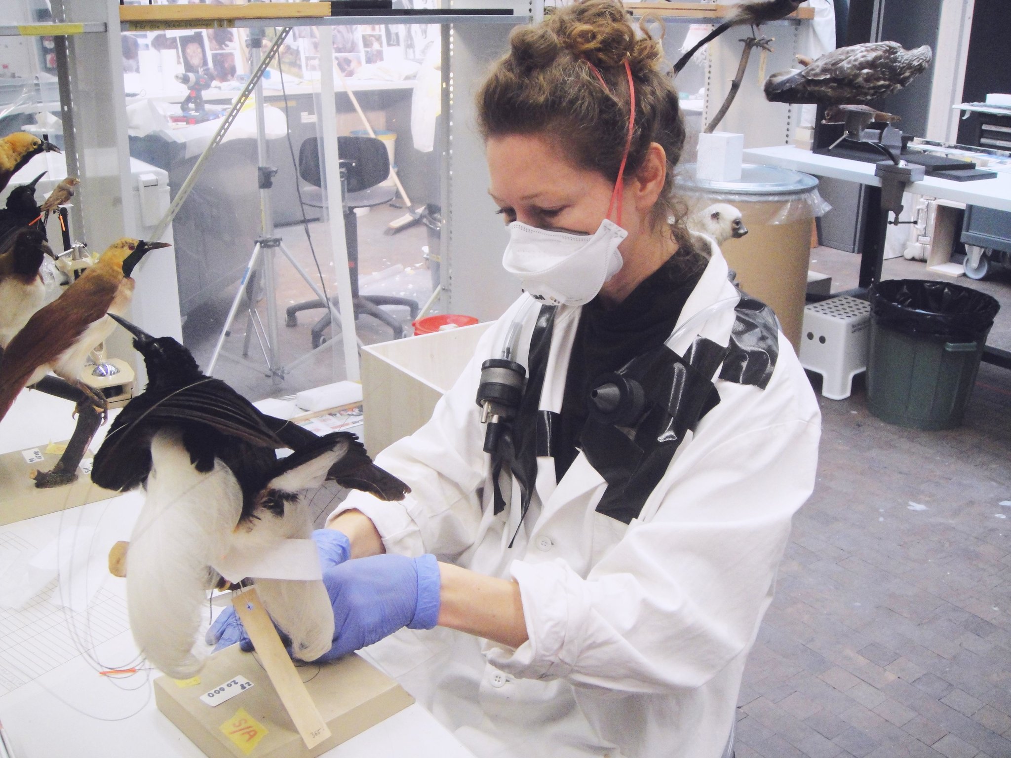Schutzausrüstung für die Arbeit an biozidbelasteten Objekten
