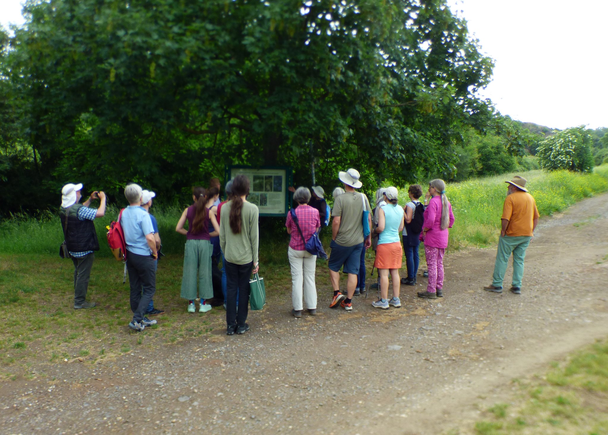 (Bild: Stefan Jung / NABU)