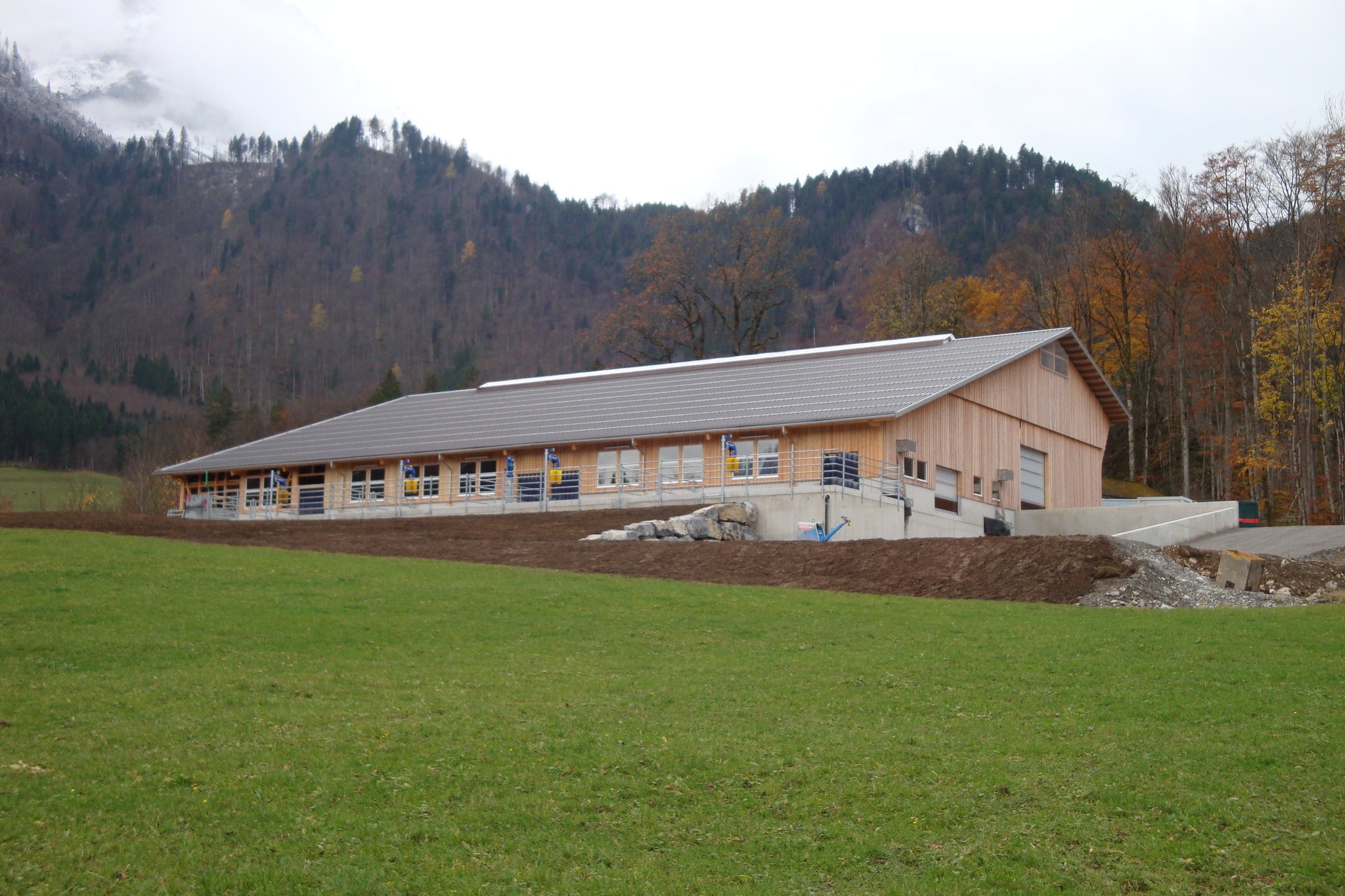 Stallneubau Glarus 2016/2017