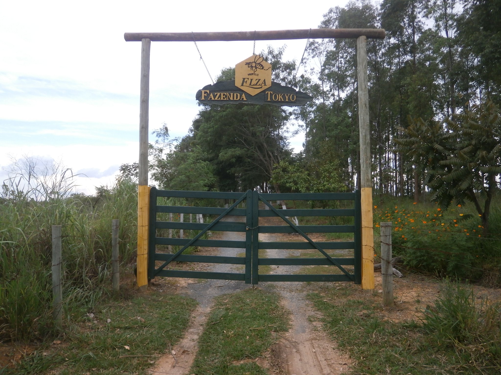 養蜂園の門リニューアル後もメンテナンスはばっちりです！
