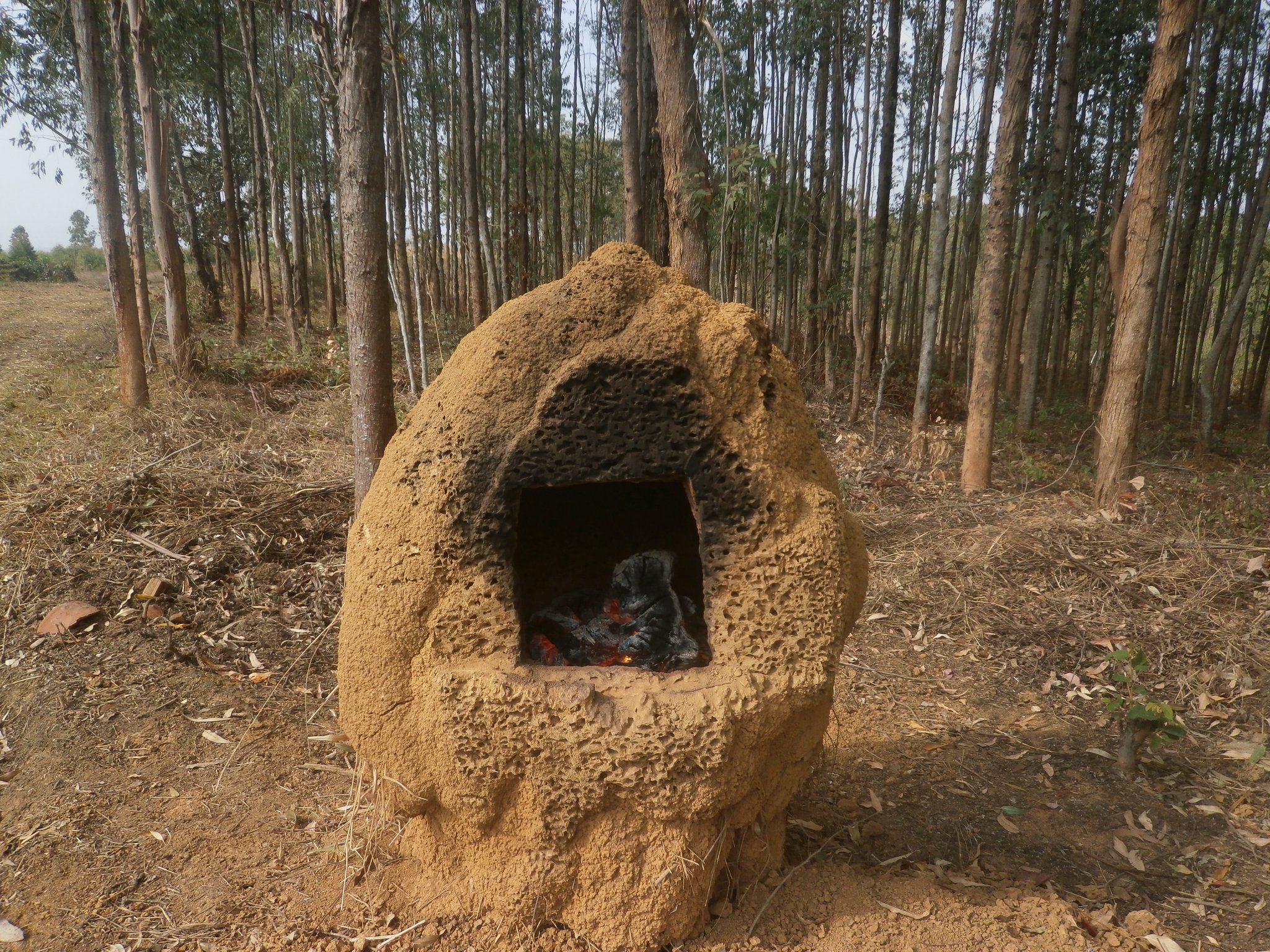 古い蟻塚を何とパン釜として変身させてみました！