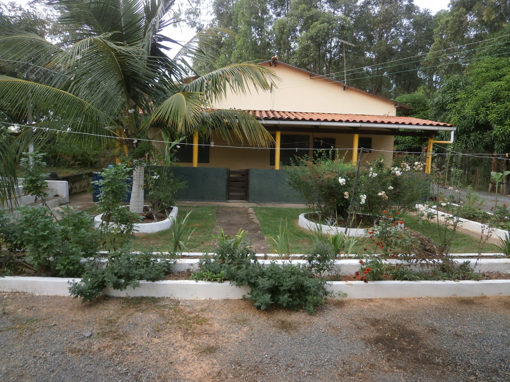 作業小屋の周りも緑豊かになりました。