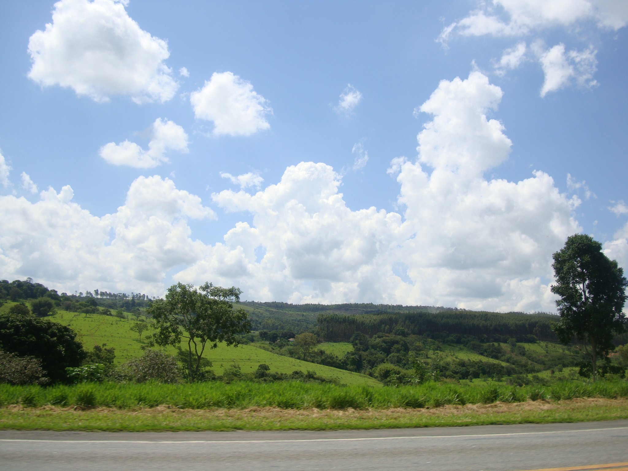 不思議と空が低く感じる南半球の空。
