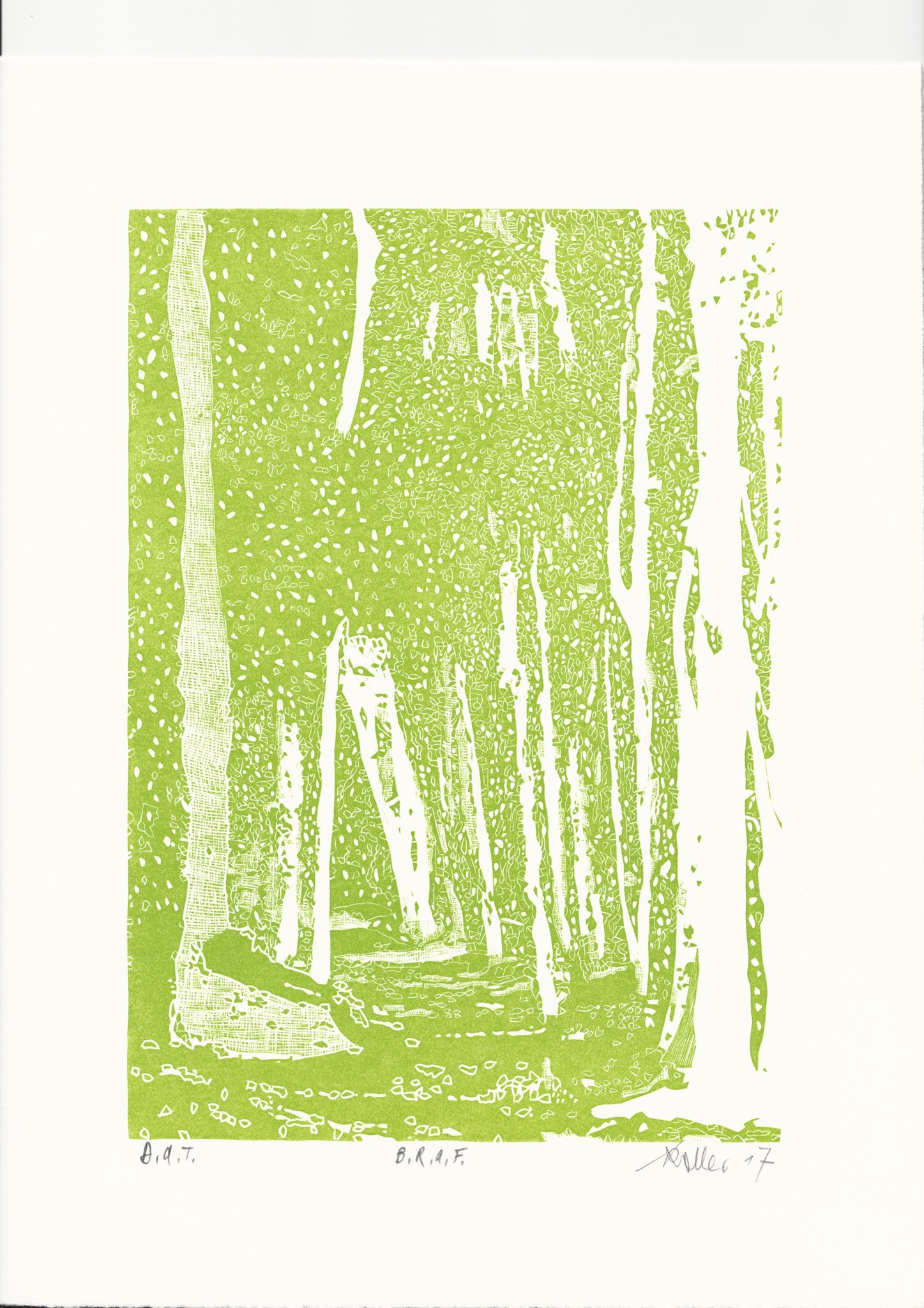 Erste Platte hellgrün