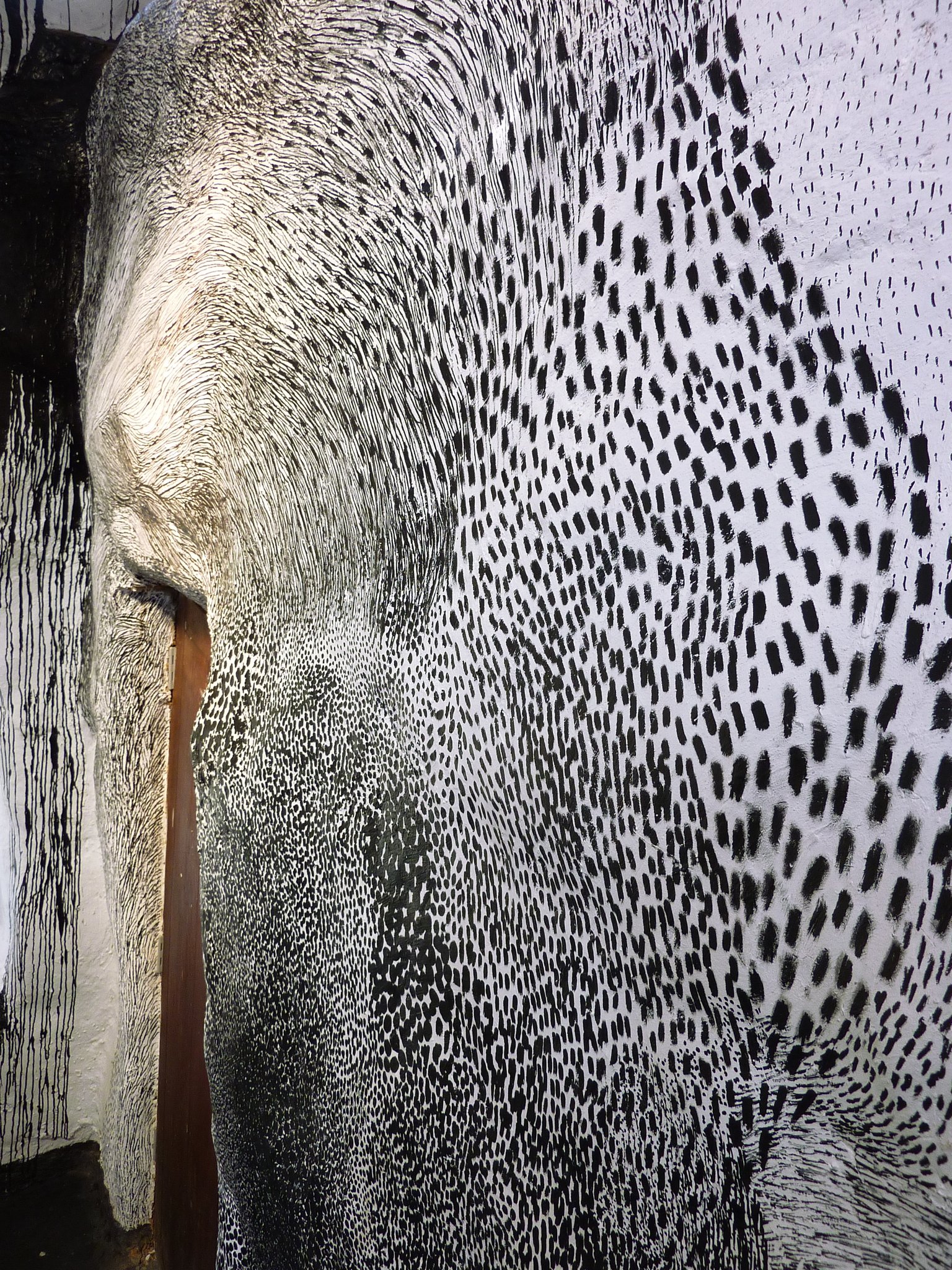 Shelter, Chiang Mai Thailand