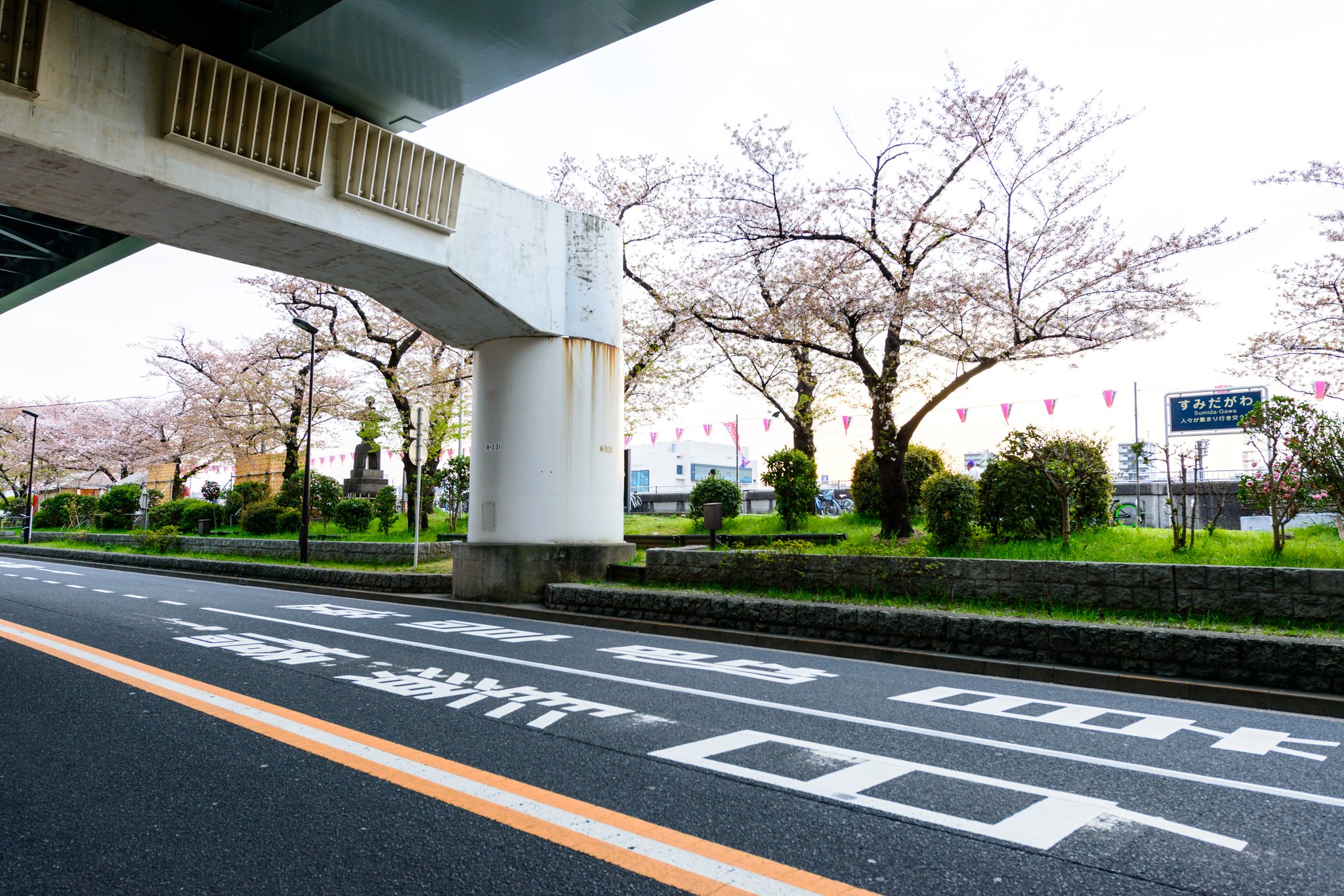 隅田川沿いの桜並木