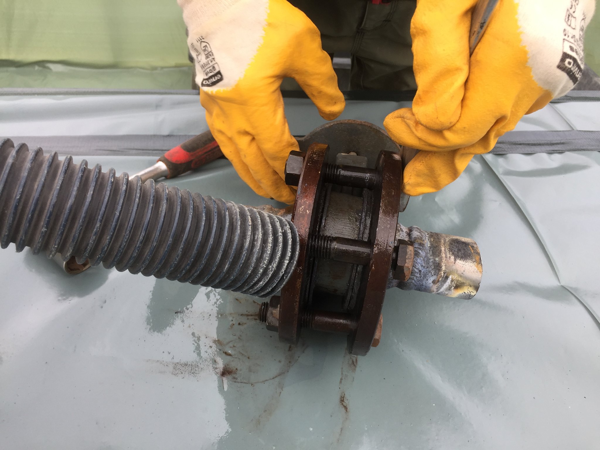 Sanierung Tropicarium Palmengarten