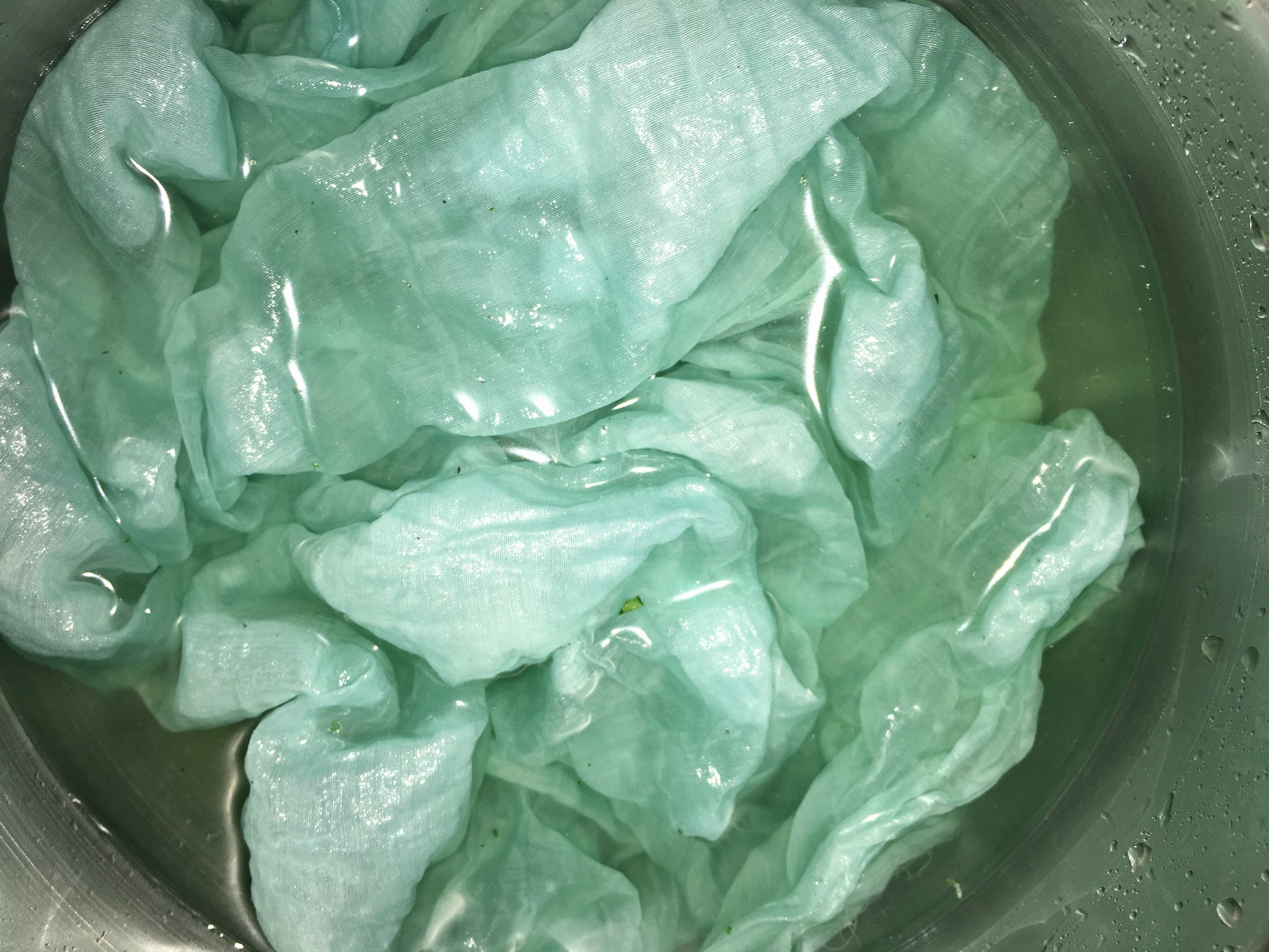 ▲ いただいた藍で生葉染め