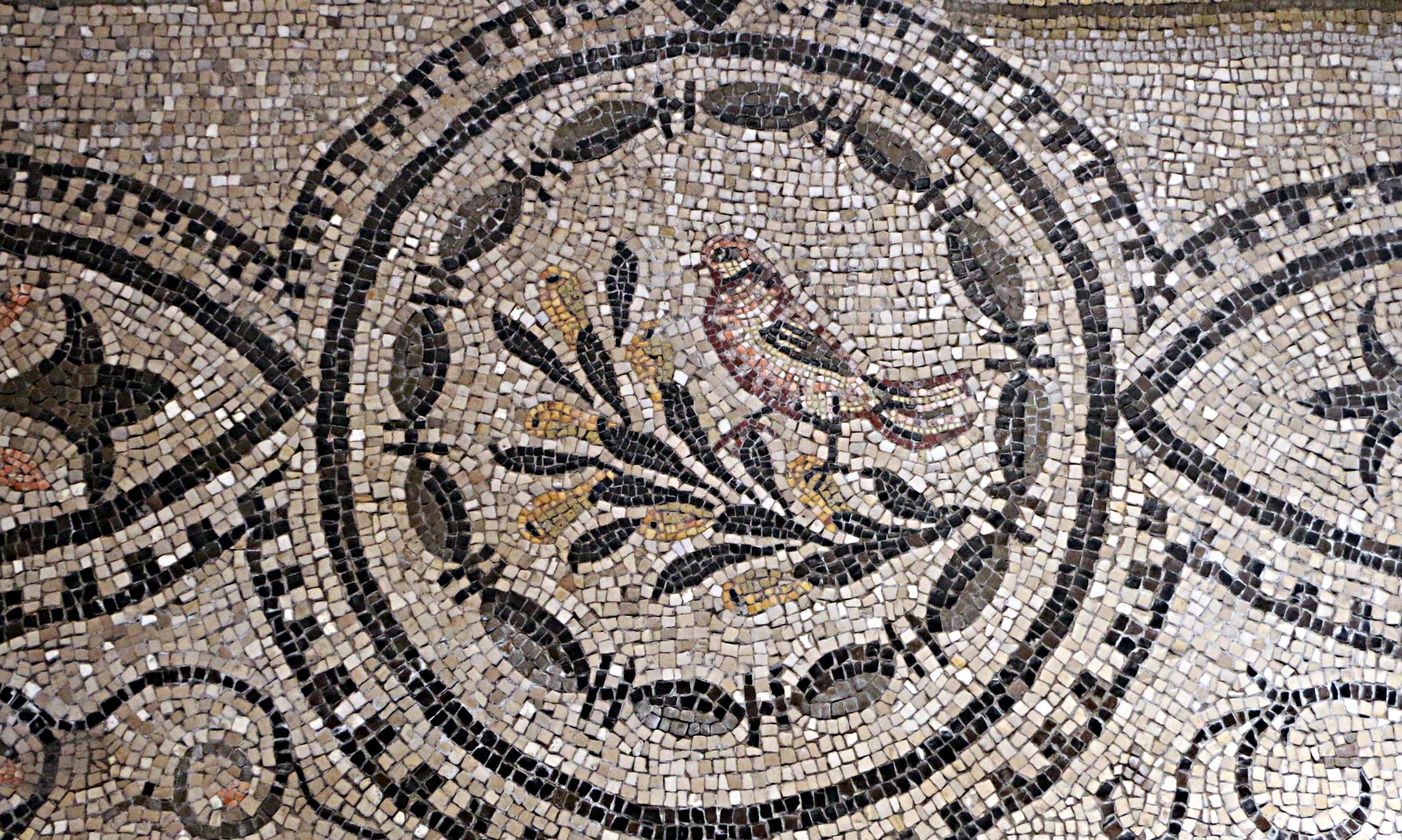 Viaggio in Friuli con partenza da Milano