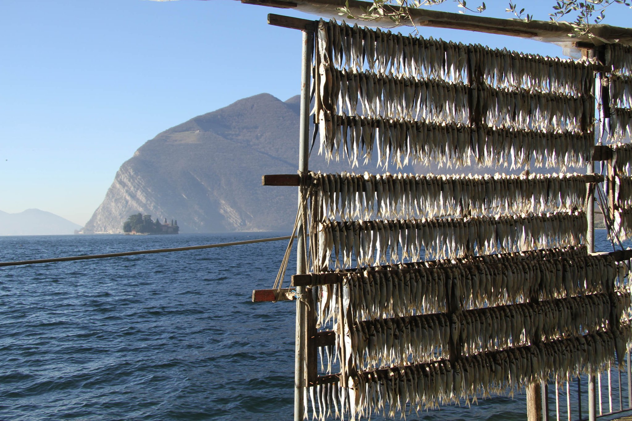 Visita guidata Lago Iseo Franciacorta
