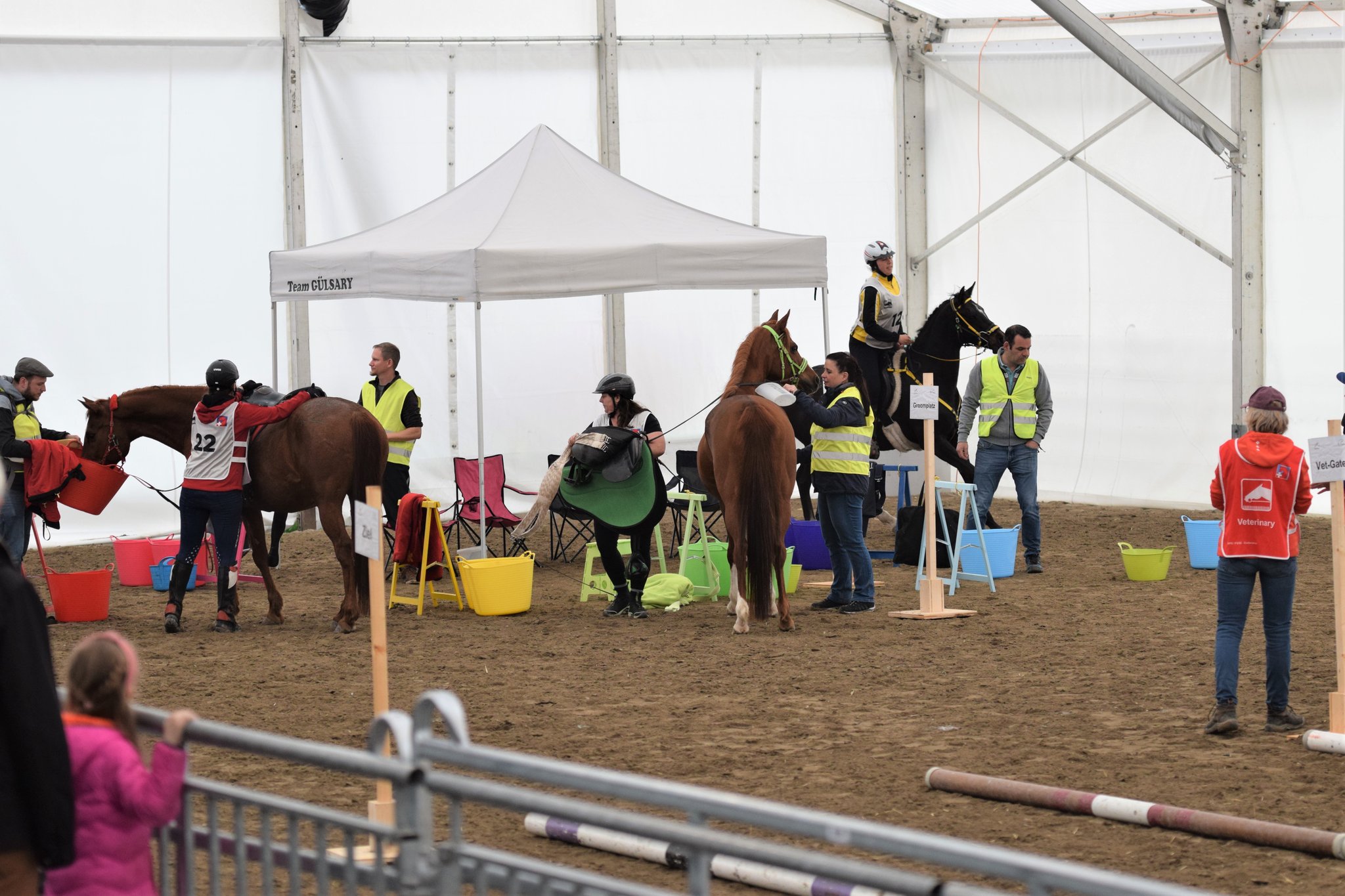 EVG3-Pferde machen sich bereit