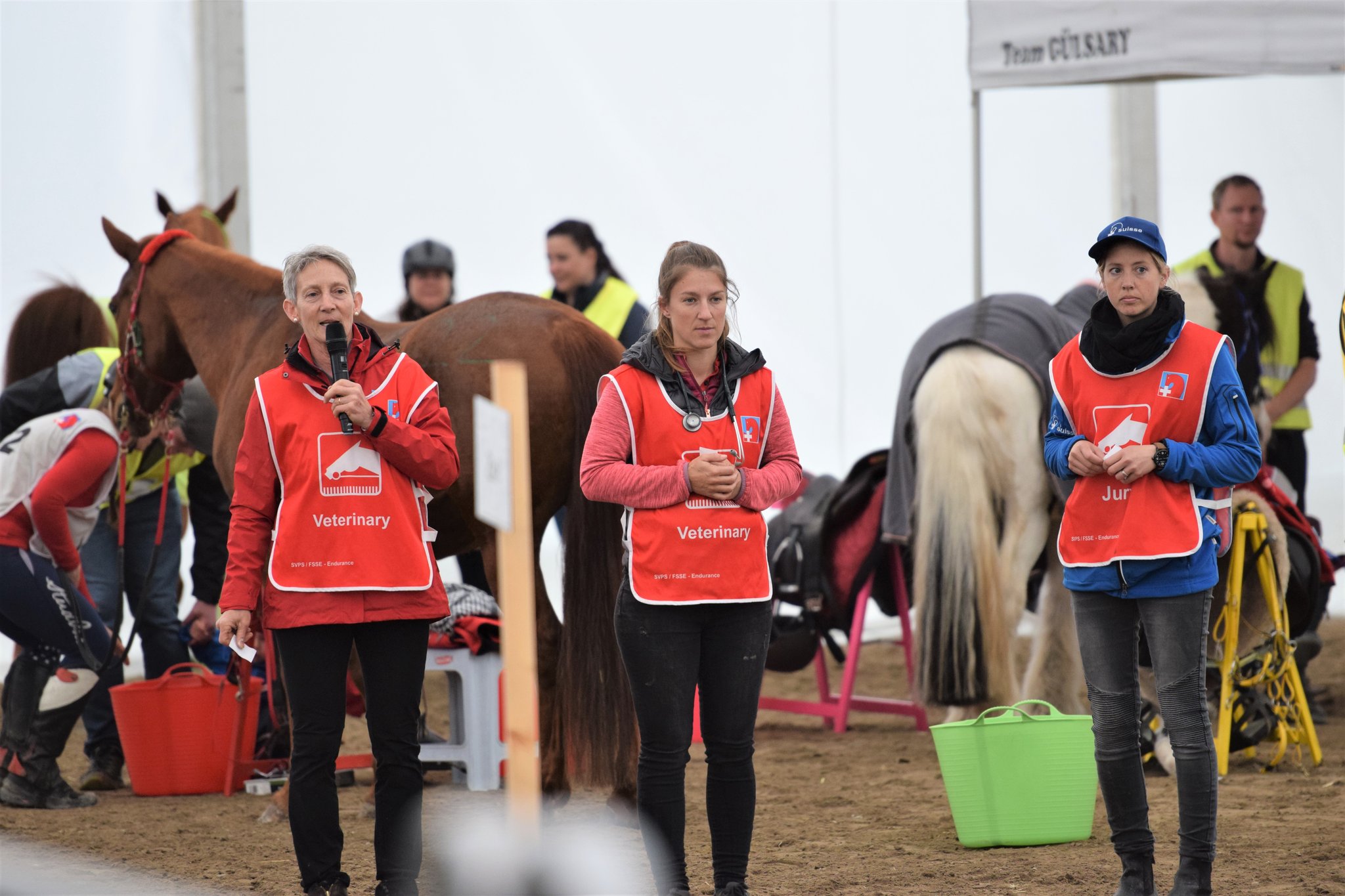 3-er Entscheid der Tierärzte