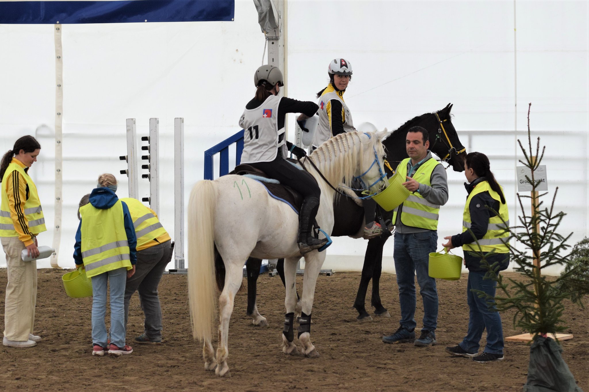 Tränken und Kühlen am Groompoint