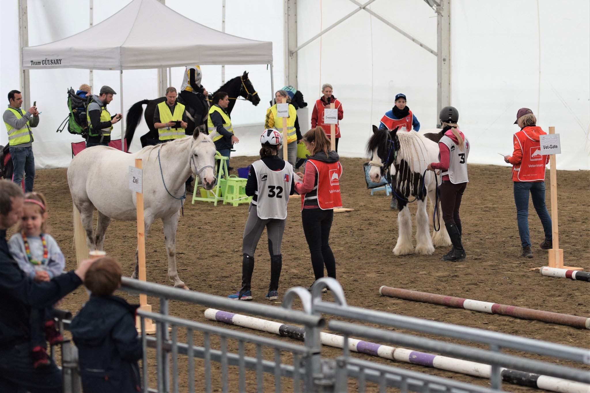 Vorutnersuchung EVG1