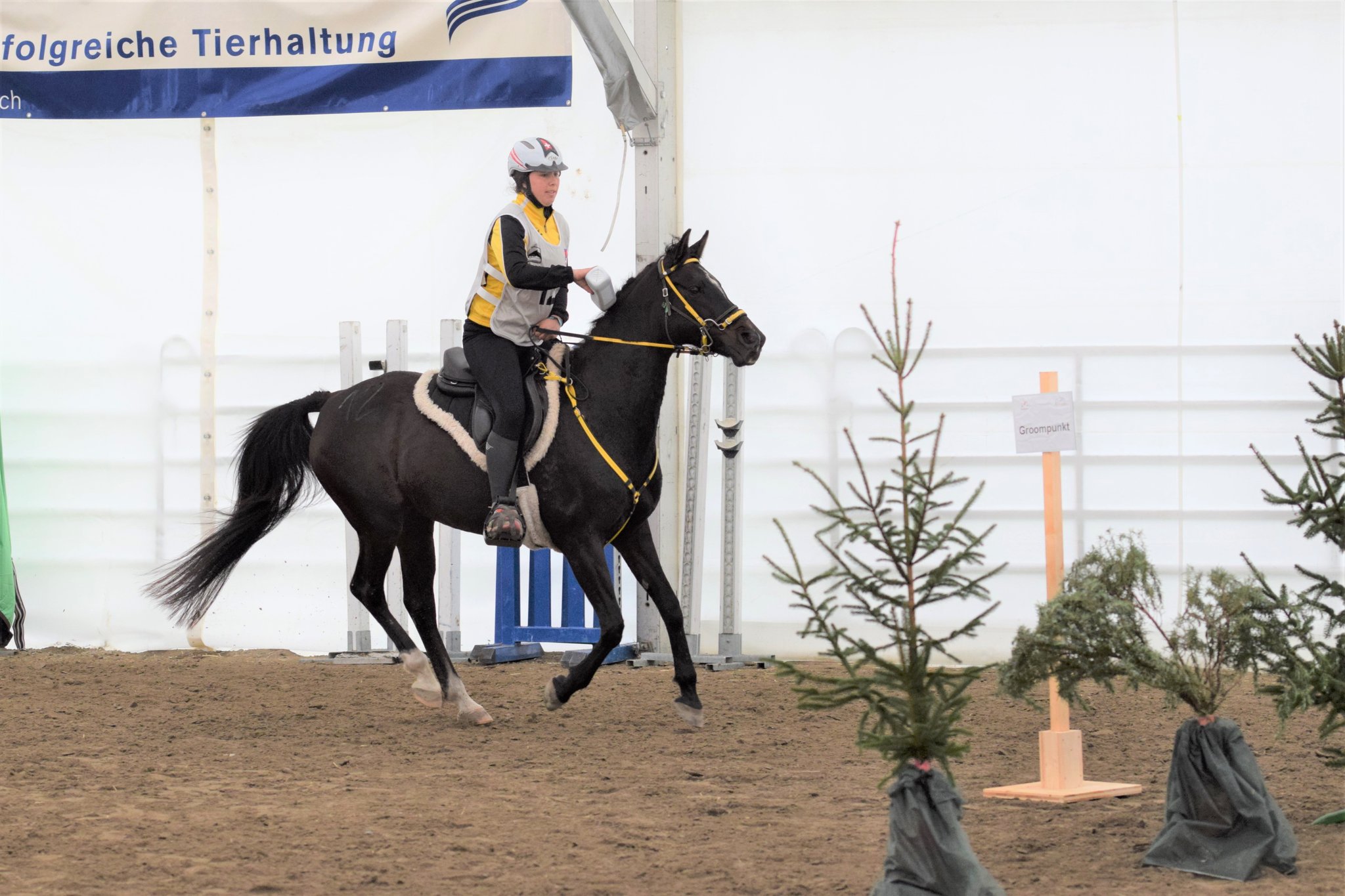 Patriba wird unterwegs gekühlt