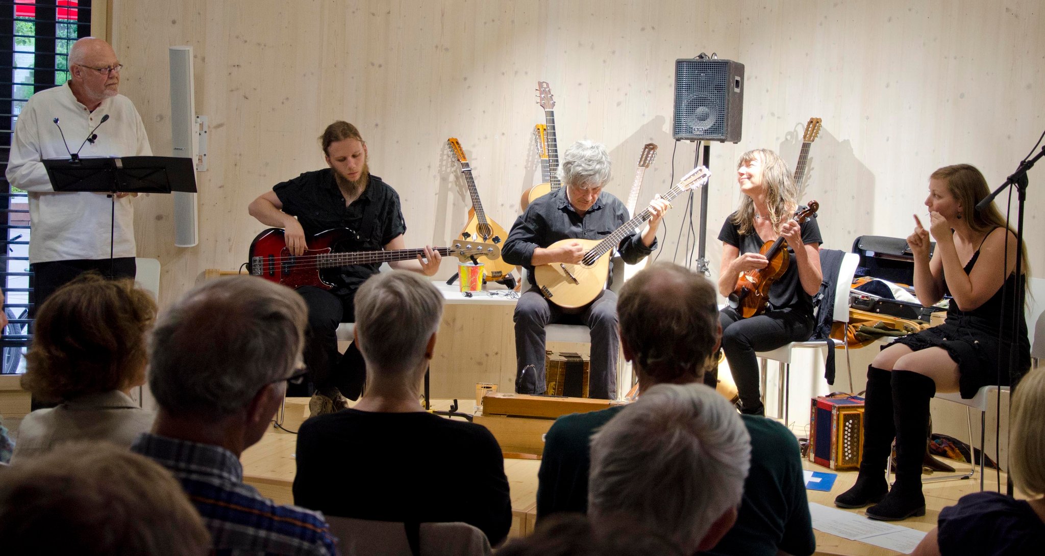 Neoländler – die Multiinstrumentalisten