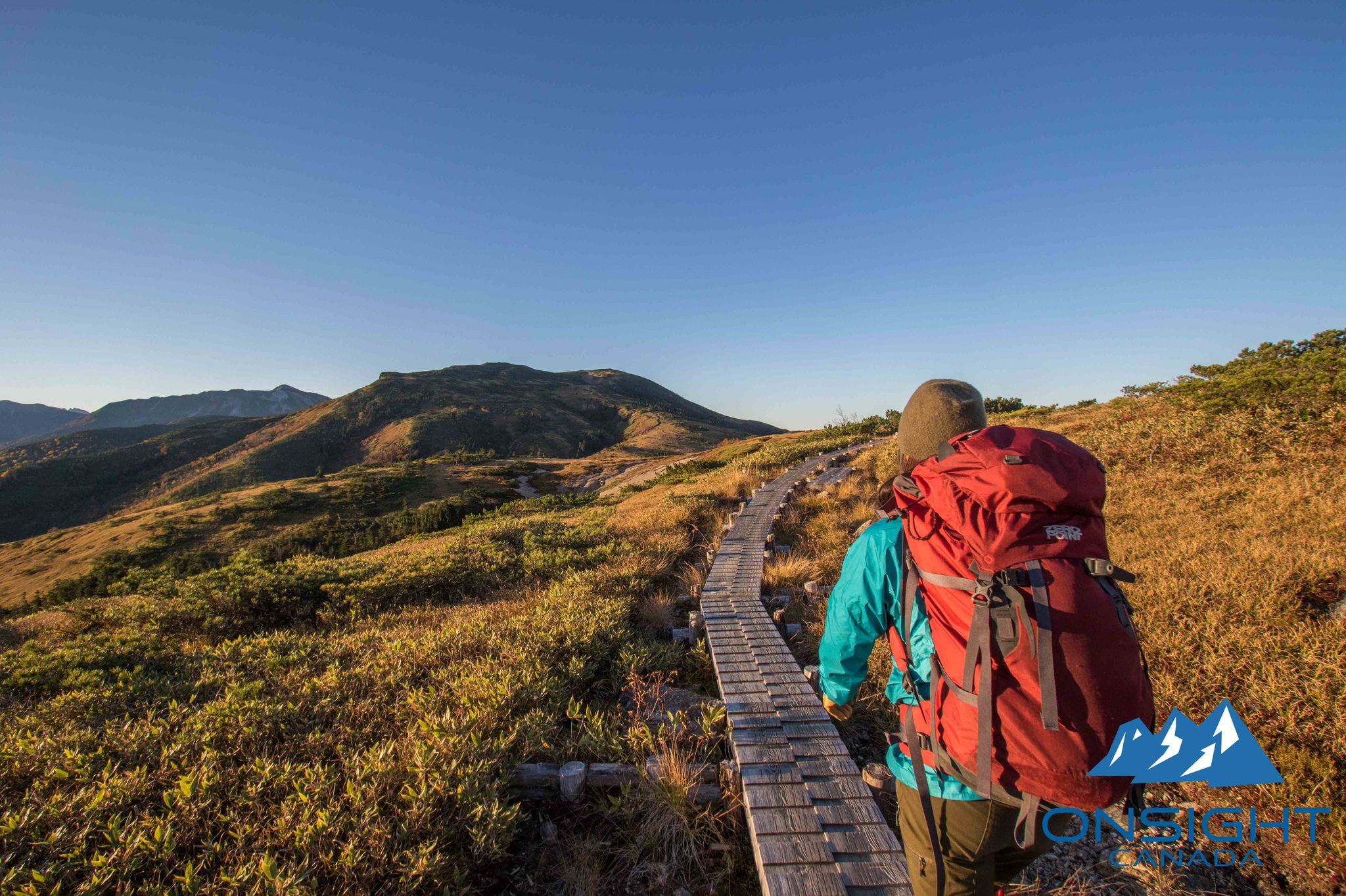 Board walk at high alpine