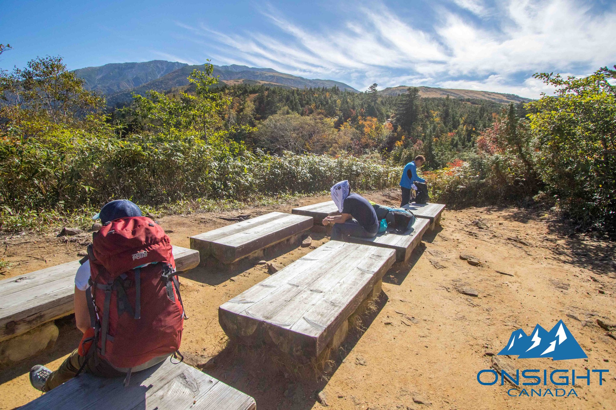 Busted tree line now fun walking starts
