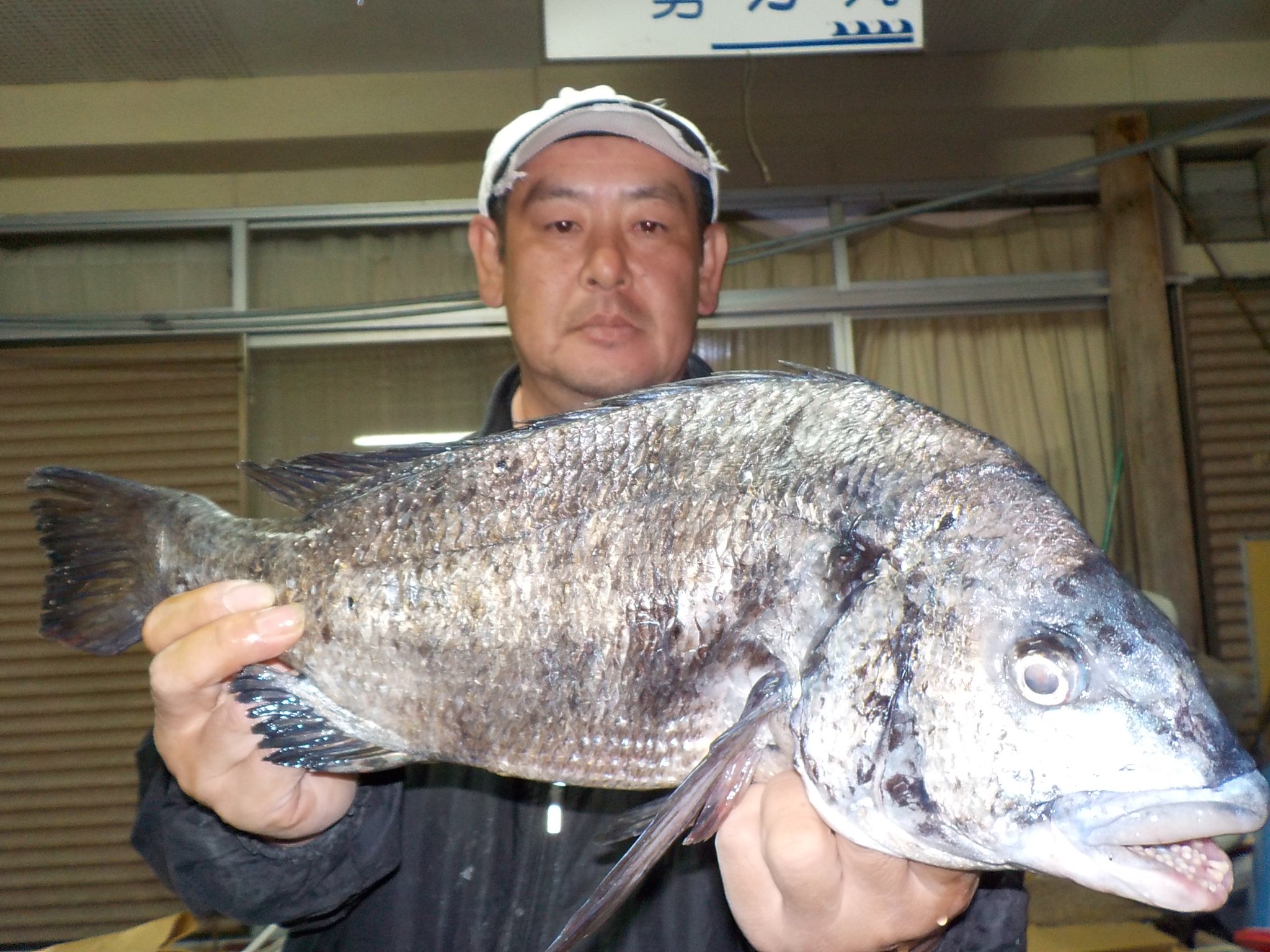 ５月１３日　磯釣りで池田さん　ガバチヌ５１cm