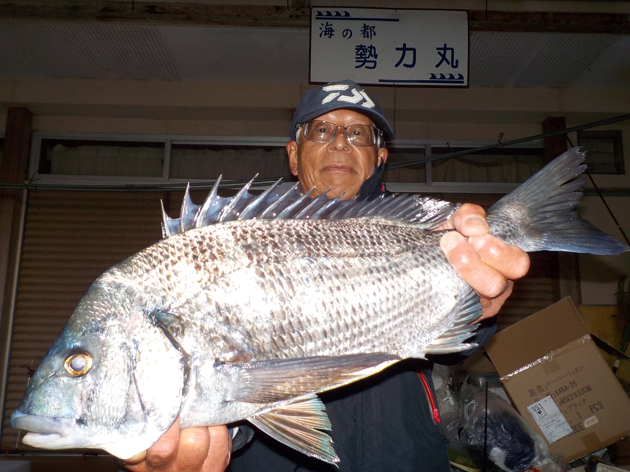 １２月２６日　磯釣りで前田さん　ガバチヌ５０cm