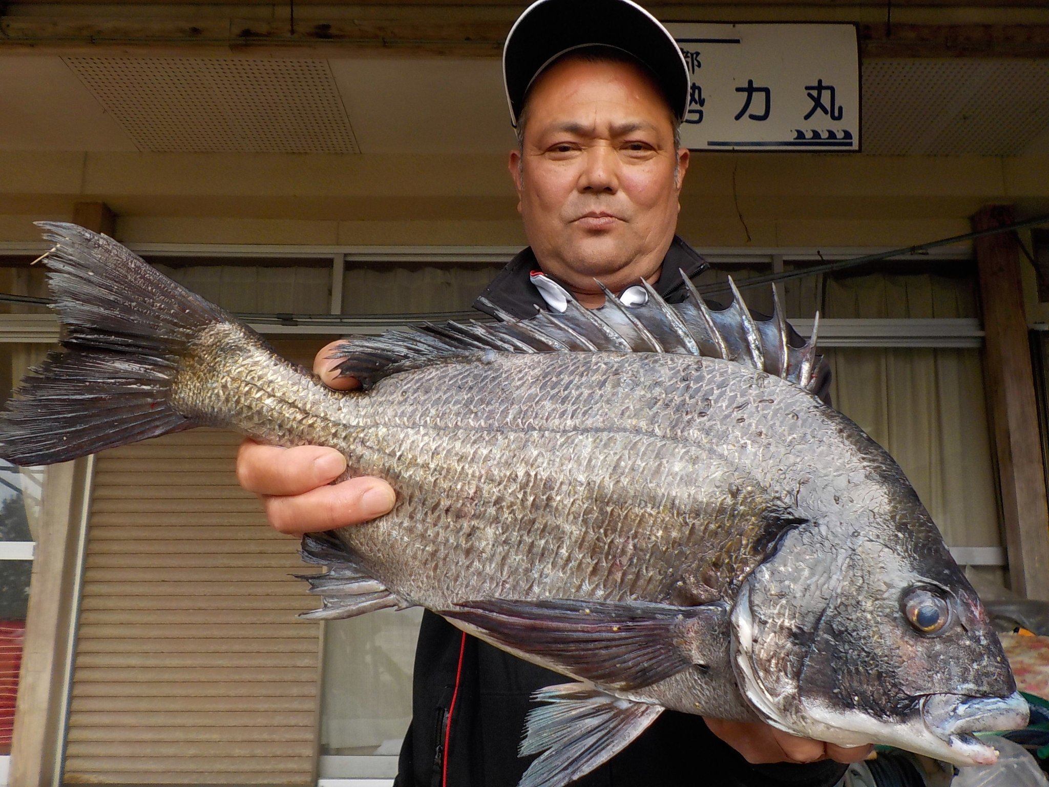 ４月１３日　磯釣りで吉村　誠一さん　ガバチヌ５０．３㎝