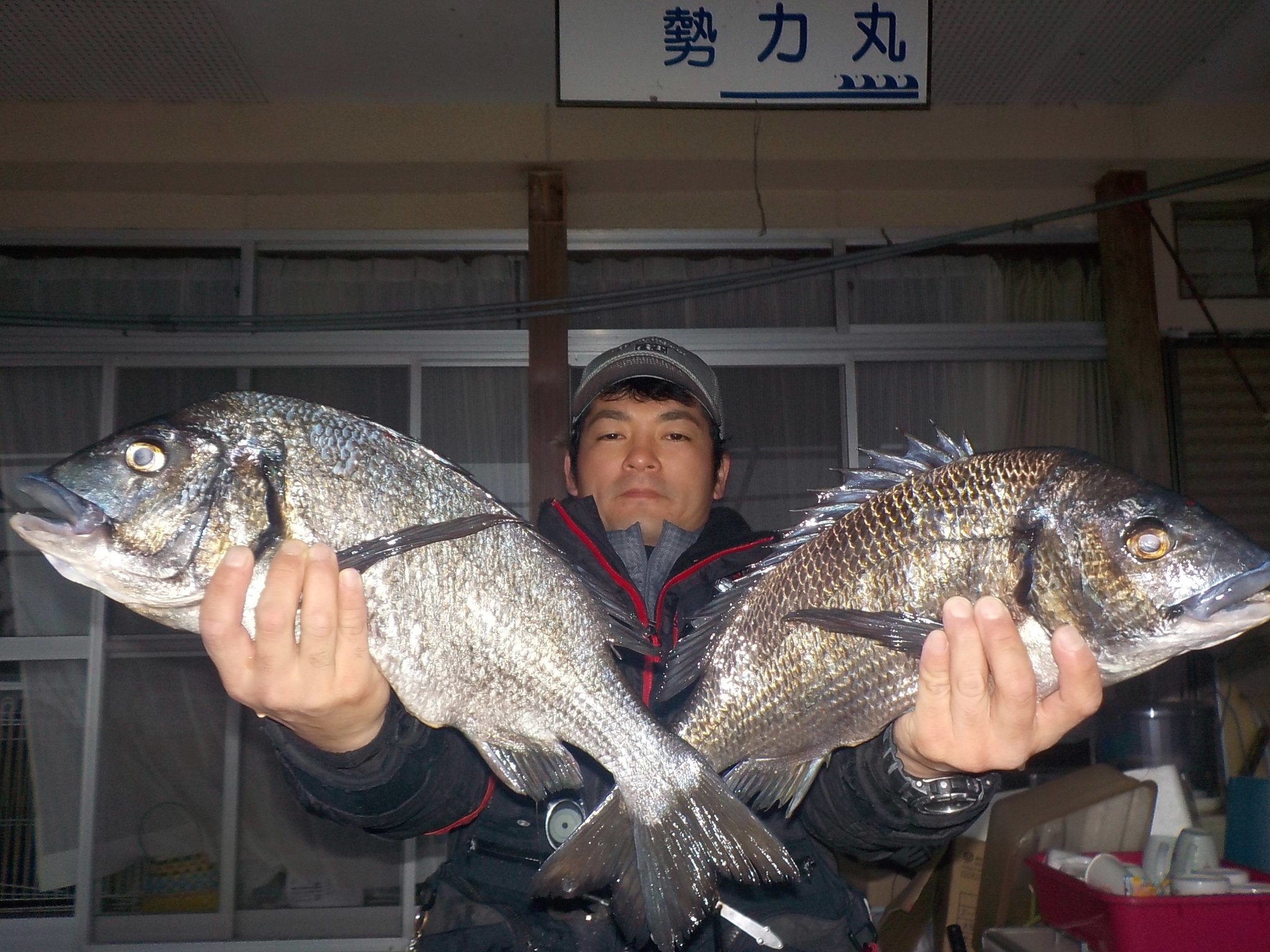 ２月２６日　磯釣りで山本さん　ガバチヌ５０．２㎝・４６㎝