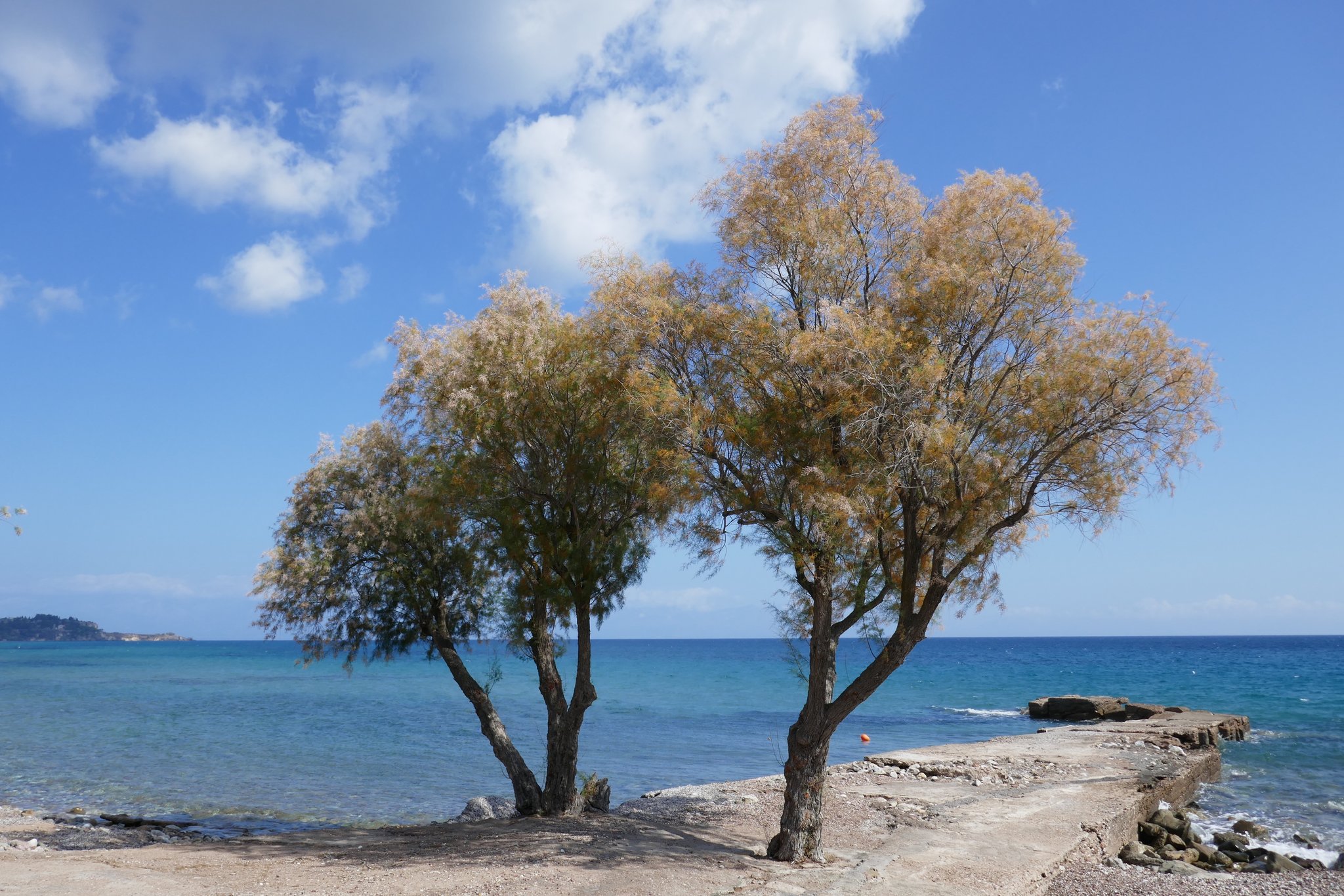 Limanaki - Memi Beach