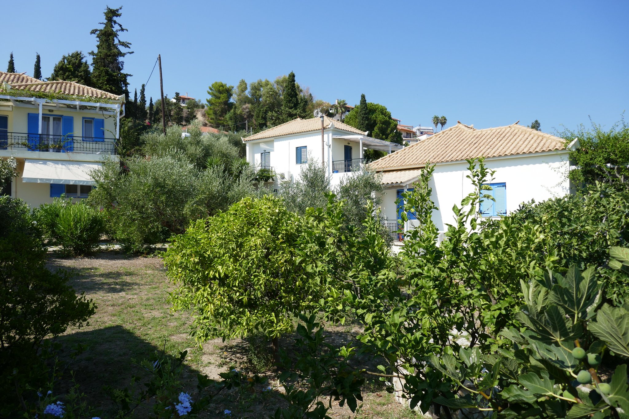 Apollon, Iris und Charis mit Garten