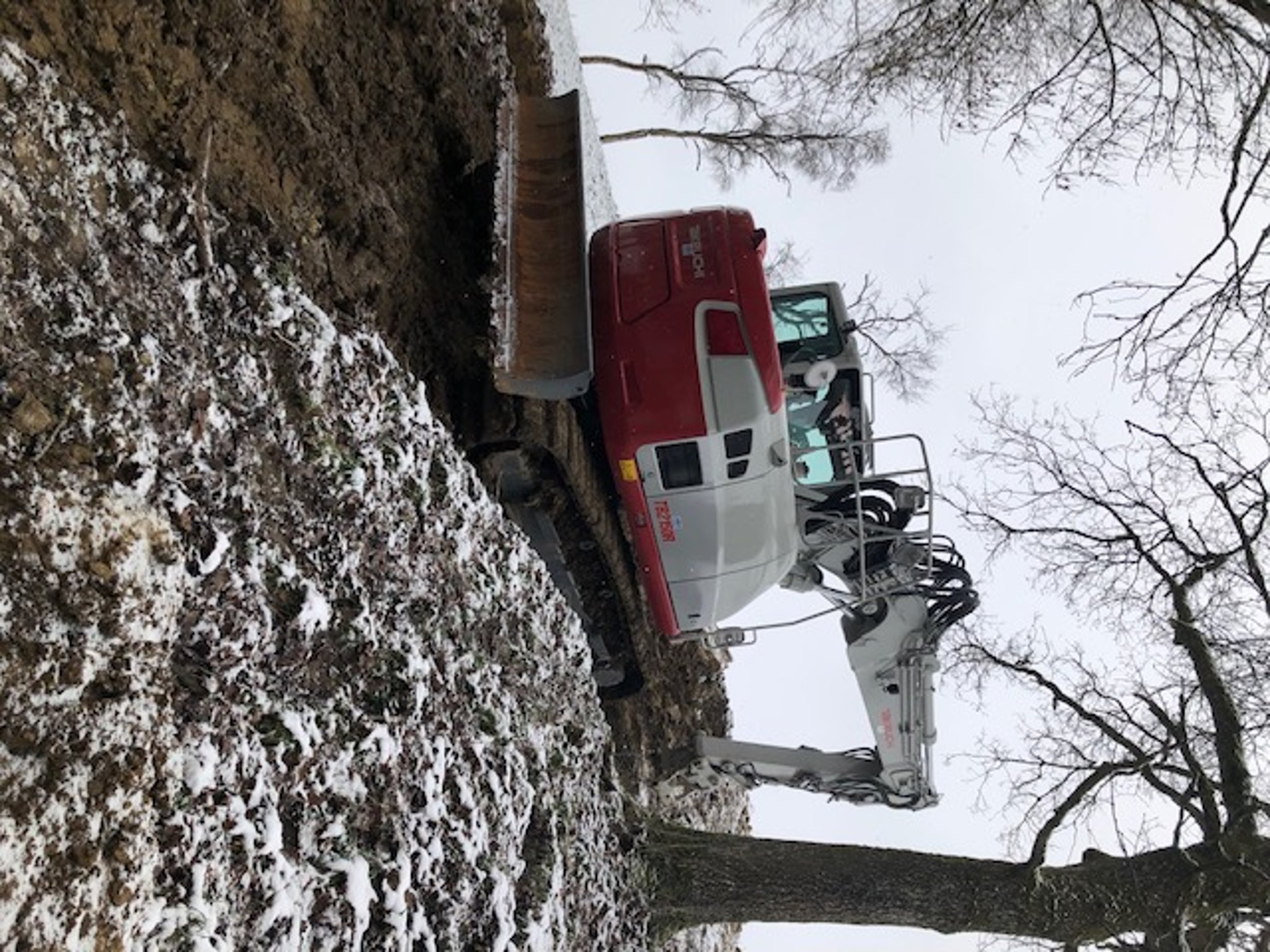 Takeuchi TB 2150 (Entrapaulus)