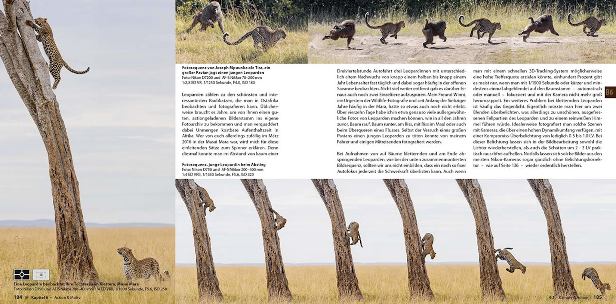 Abenteuer Safari Fotografie, demipress Verlag
