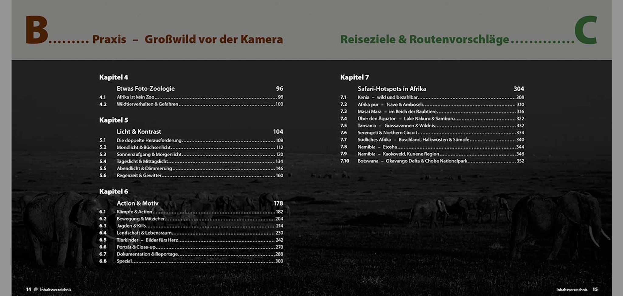 Abenteuer Safari Fotografie, demipress Verlag