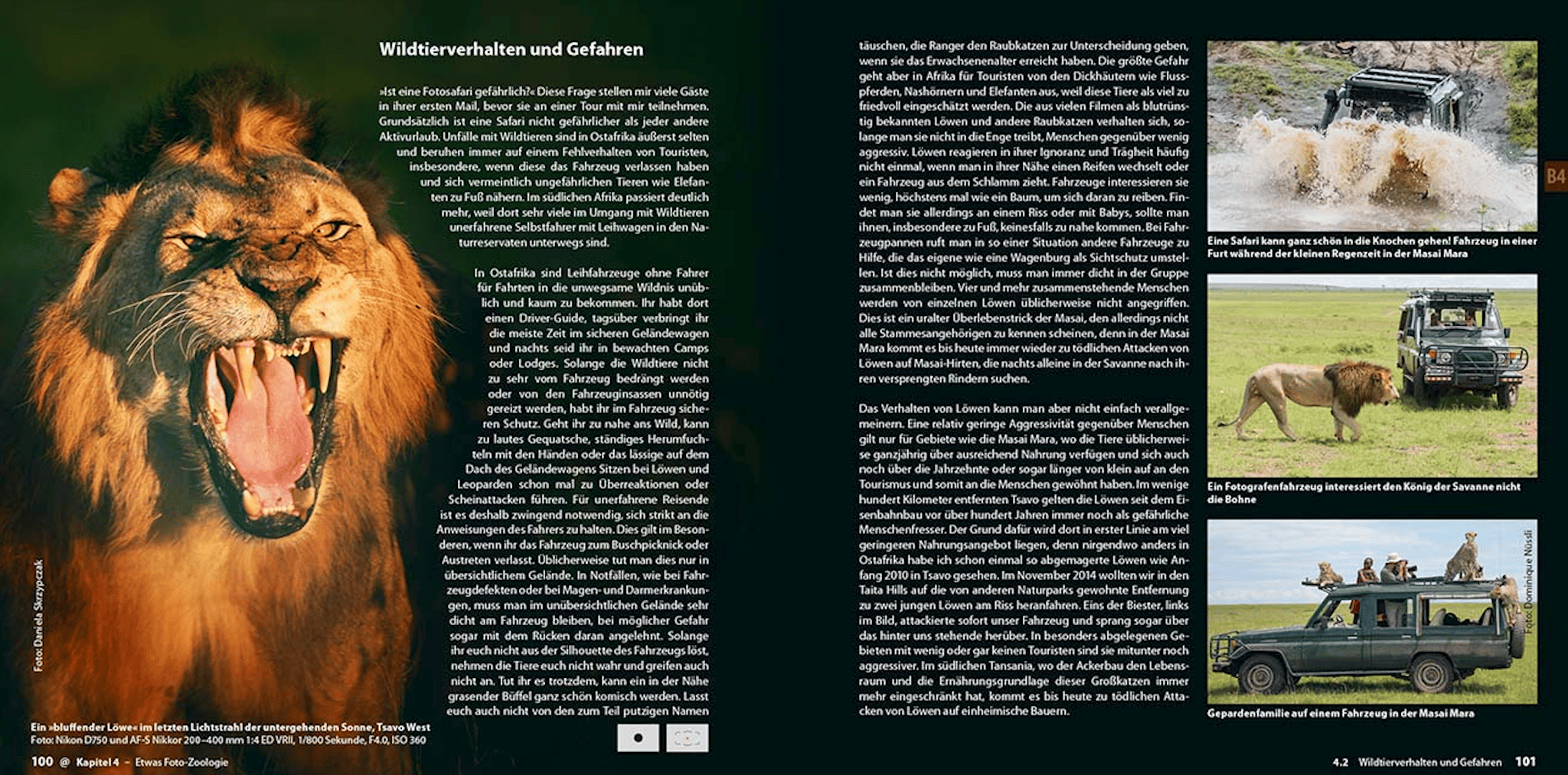 Abenteuer Safari Fotografie, demipress Verlag