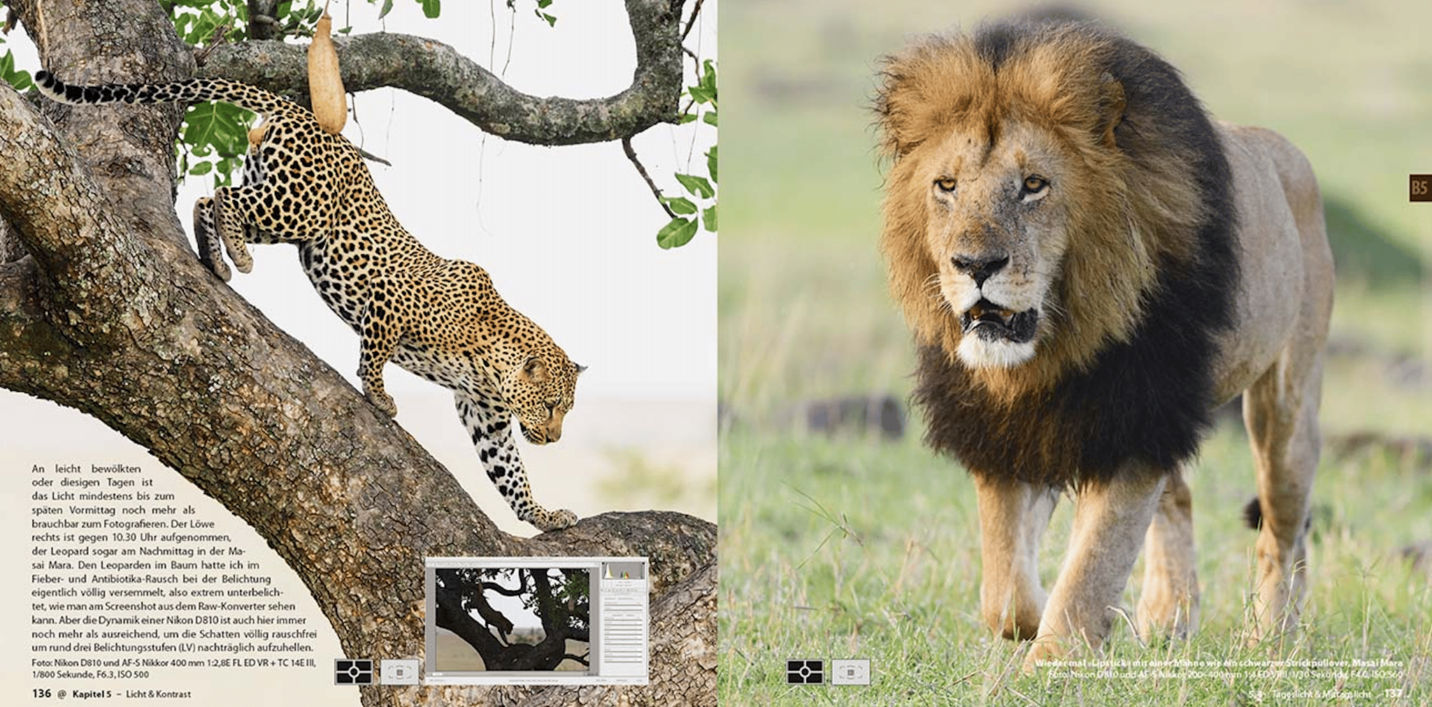 Abenteuer Safari Fotografie, demipress Verlag