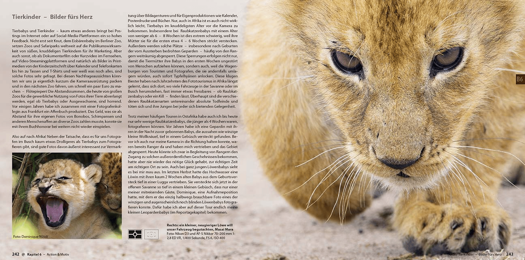 Abenteuer Safari Fotografie, demipress Verlag