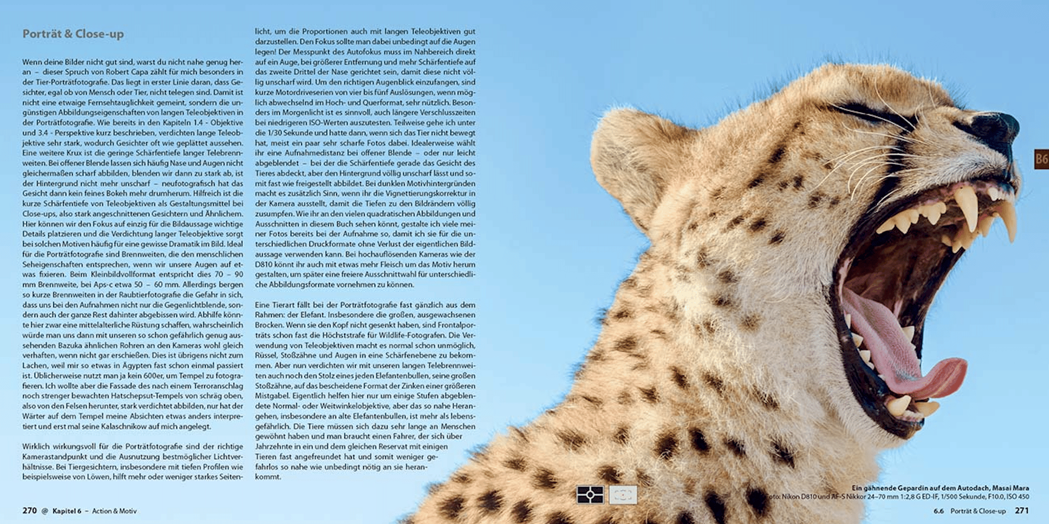 Abenteuer Safari Fotografie, demipress Verlag